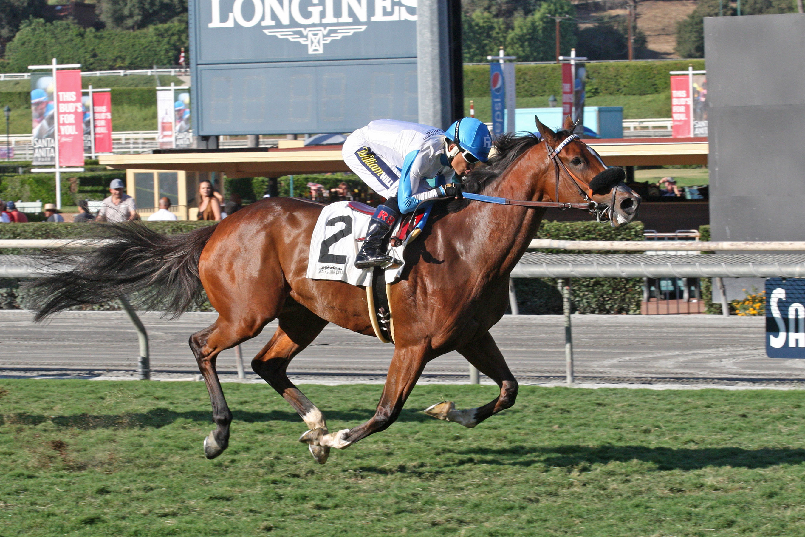 Storm the Hill wins 2018 Sen. Ken Maddy Stakes (Shig)