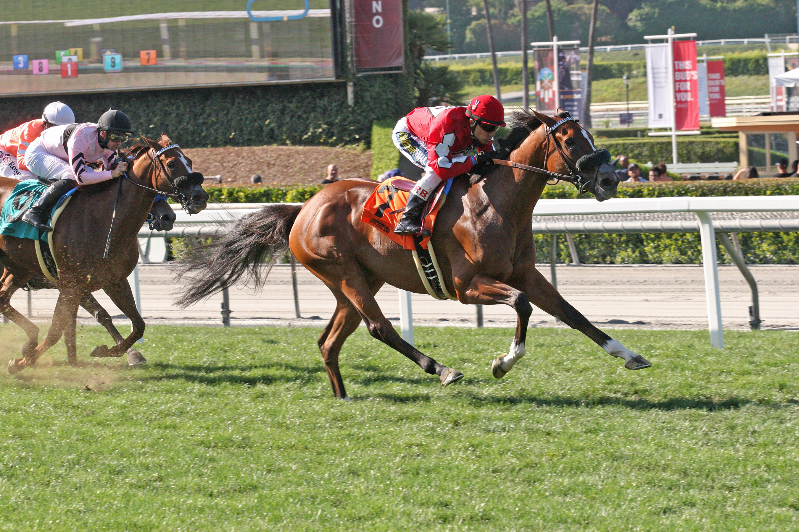 Storm the Hill wins 2018 Wilshire (Shig)