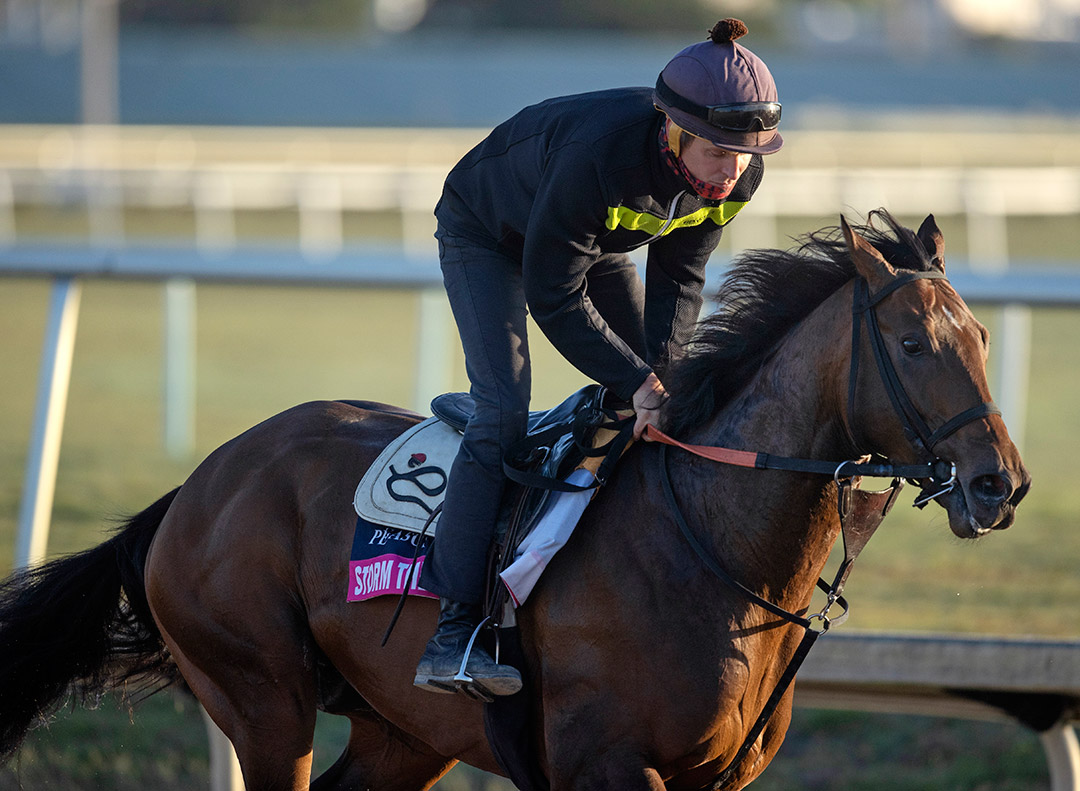 Storm the Court trains on Jan. 21 at Gulfstream Park