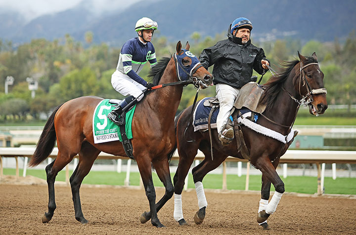 Storm the Court at the 2020 San Vincente Stakes at Santa Anita