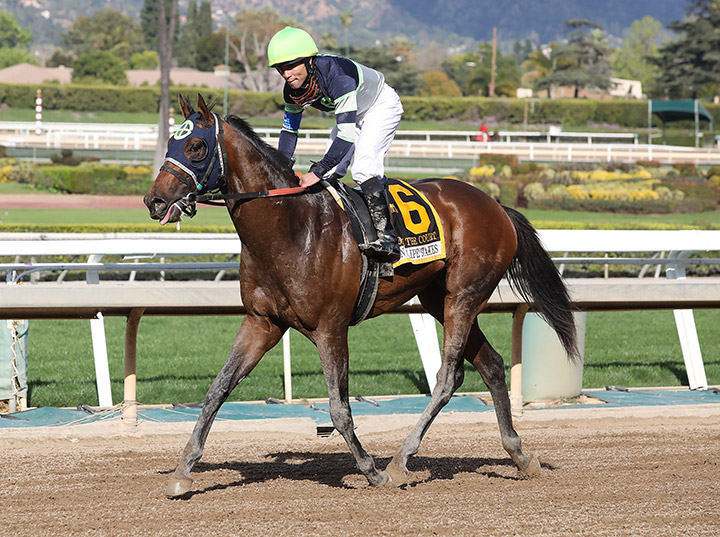 Storm the Court at the San Felipe Stakes at Santa Anita Park