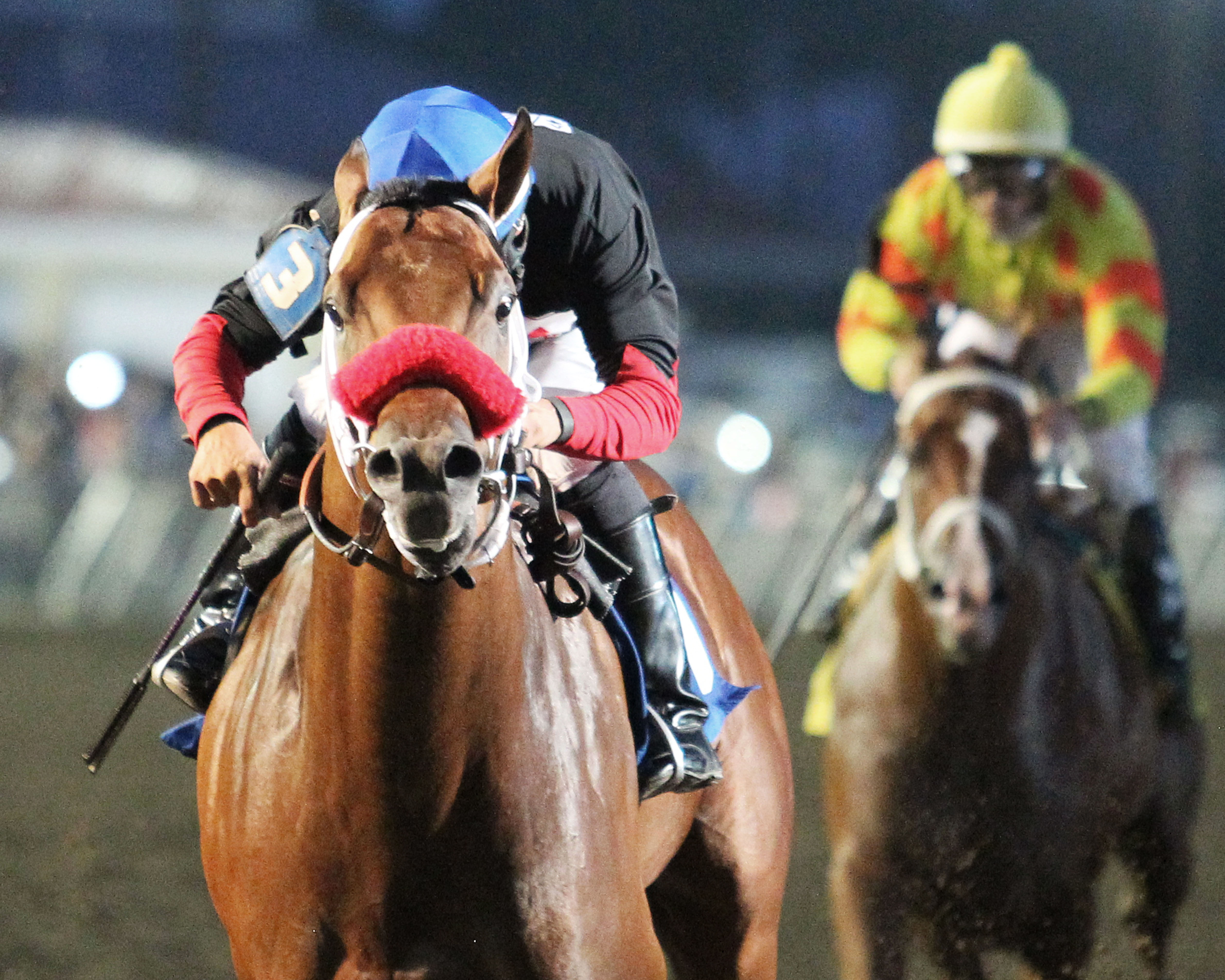 Stormation wins the Careless Navigator Overnight Stakes