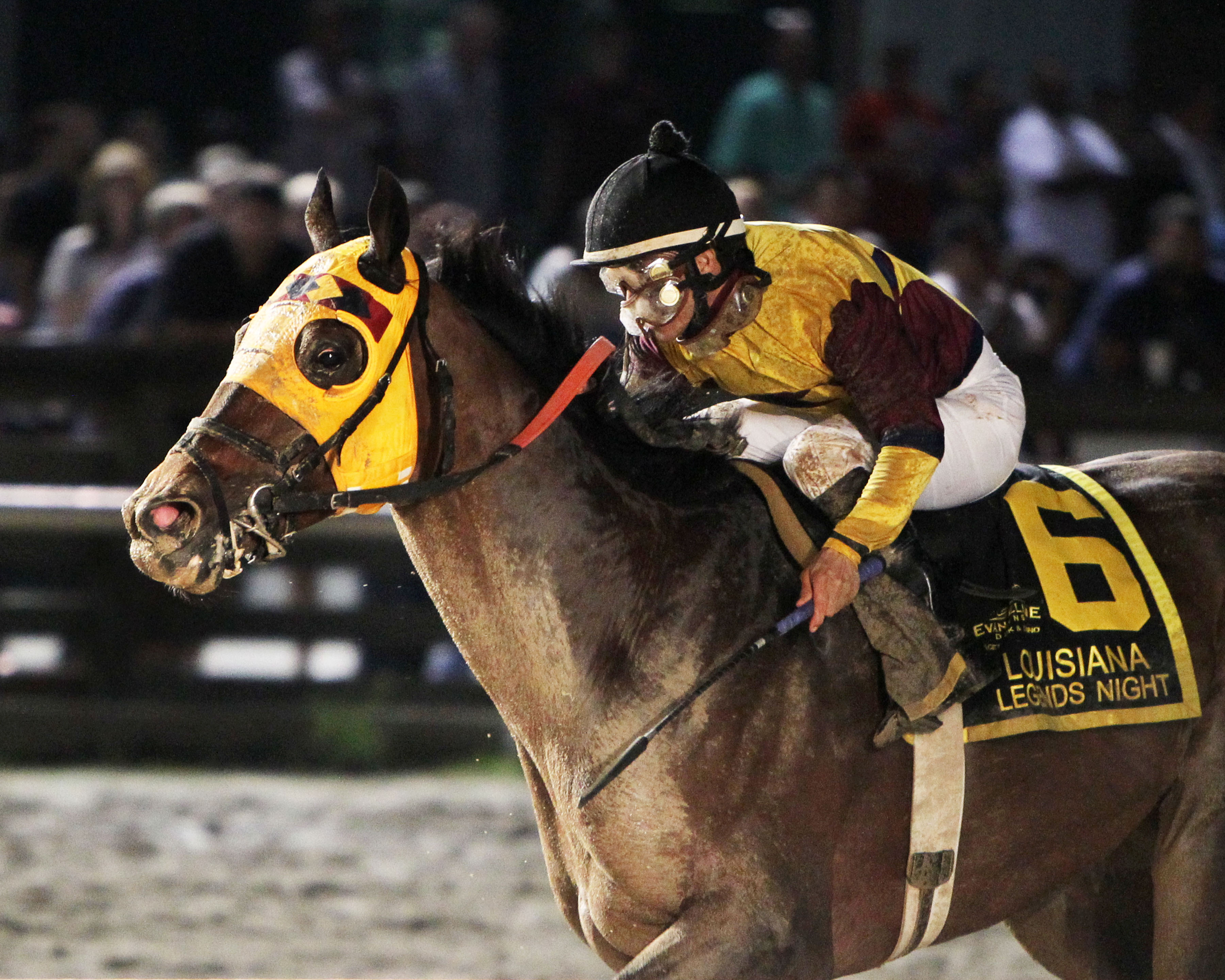 Stormdriver wins 2015 Louisiana Legends Classic