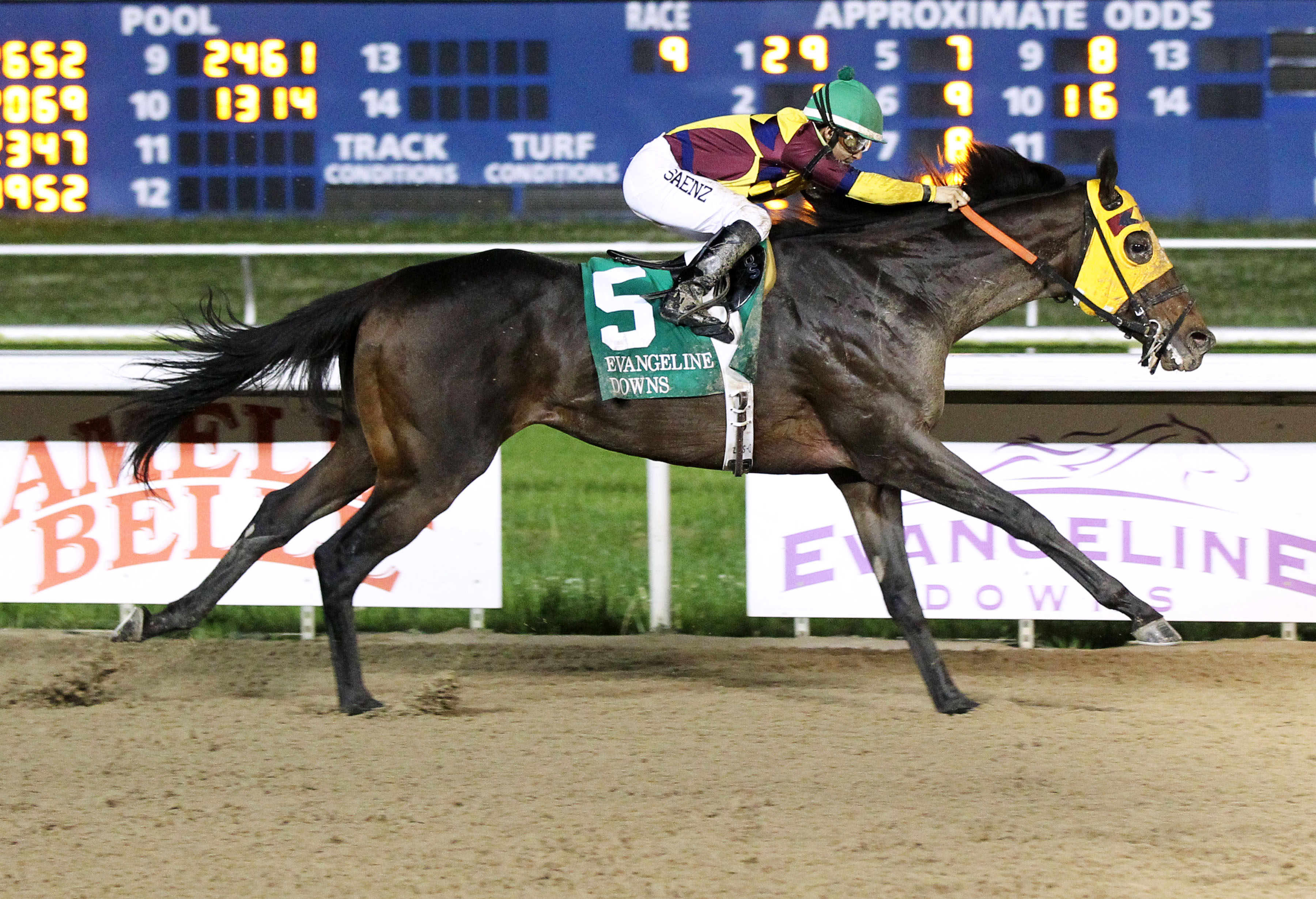 Stormdriver wins the John Henry Stakes