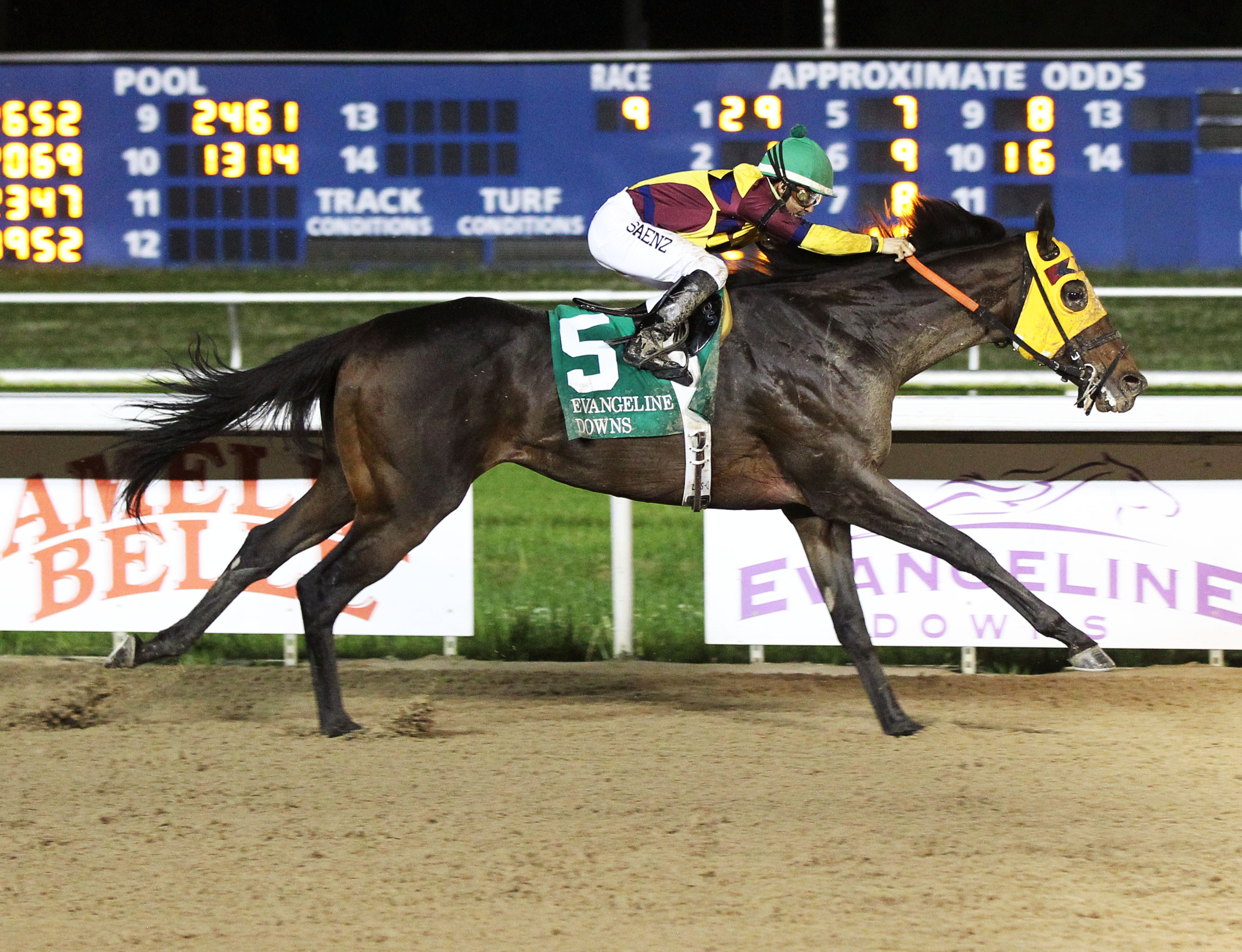 Stormdriver wins the John Henry Stakes