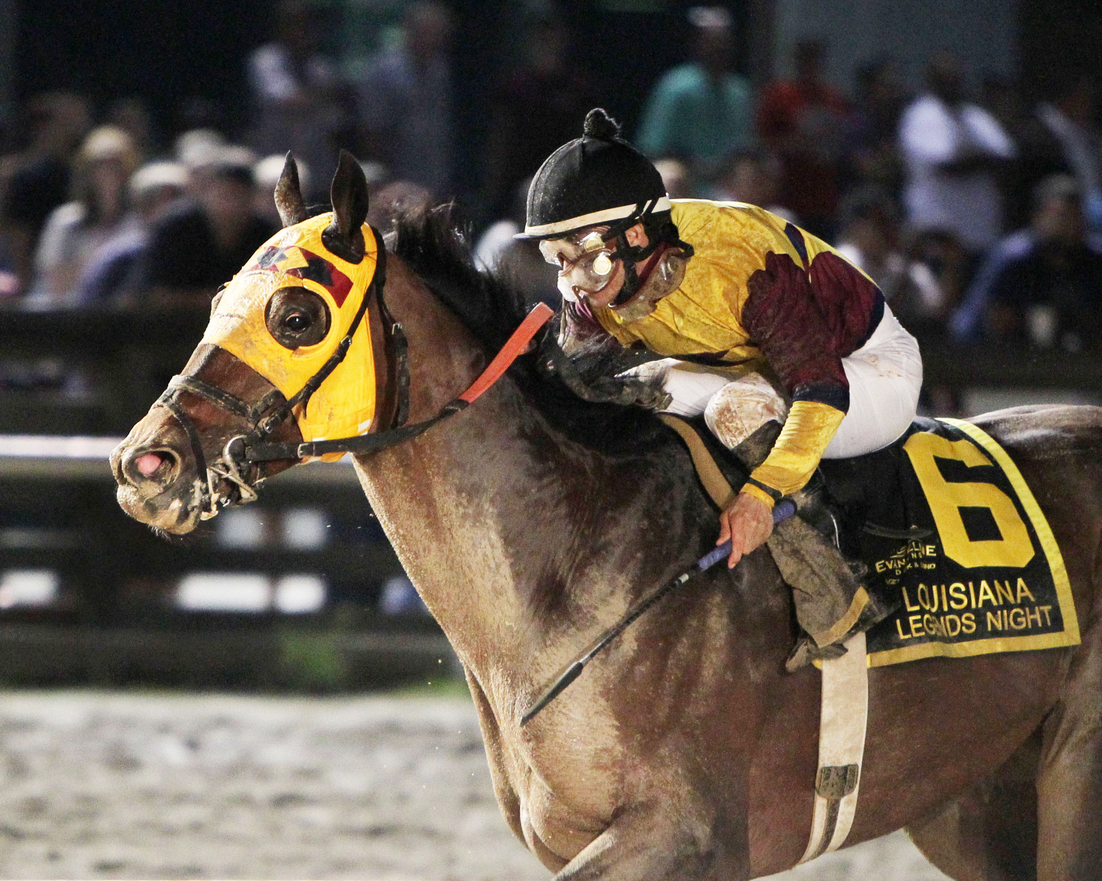 Stormdriver wins the Louisiana Legends Classic Stakes