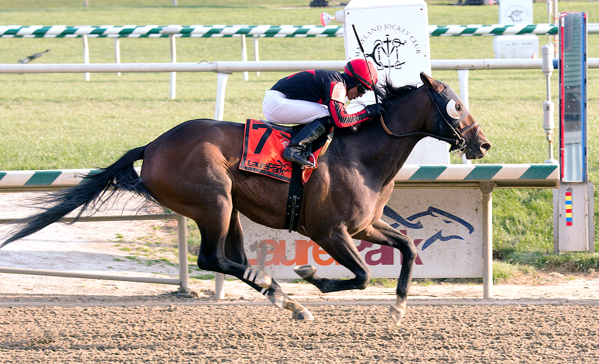 Stormin Monarchos wins the 2014 Richard W. Small Stakes