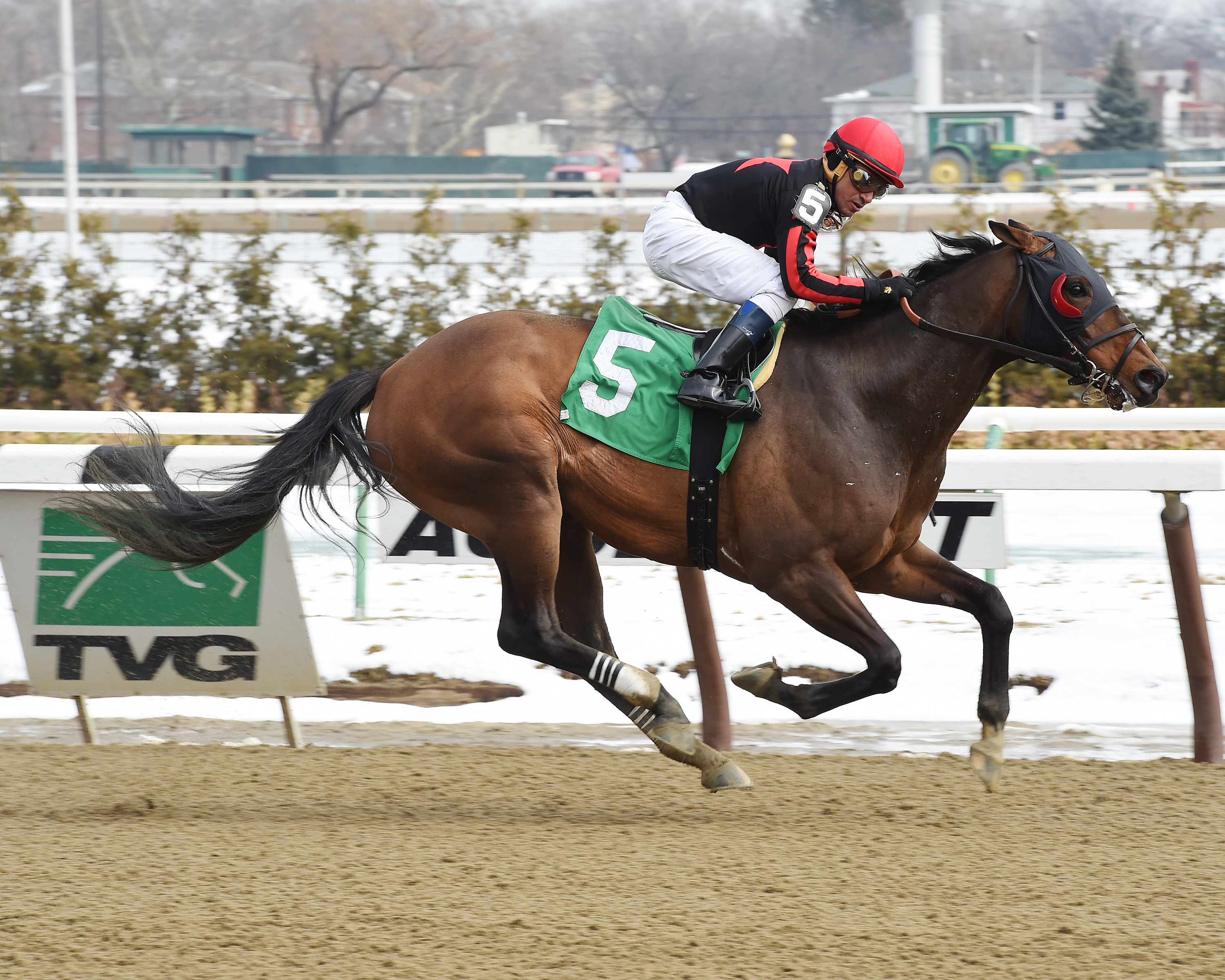 Stormin Monarcho wins the Mr. Sinatra Stakes