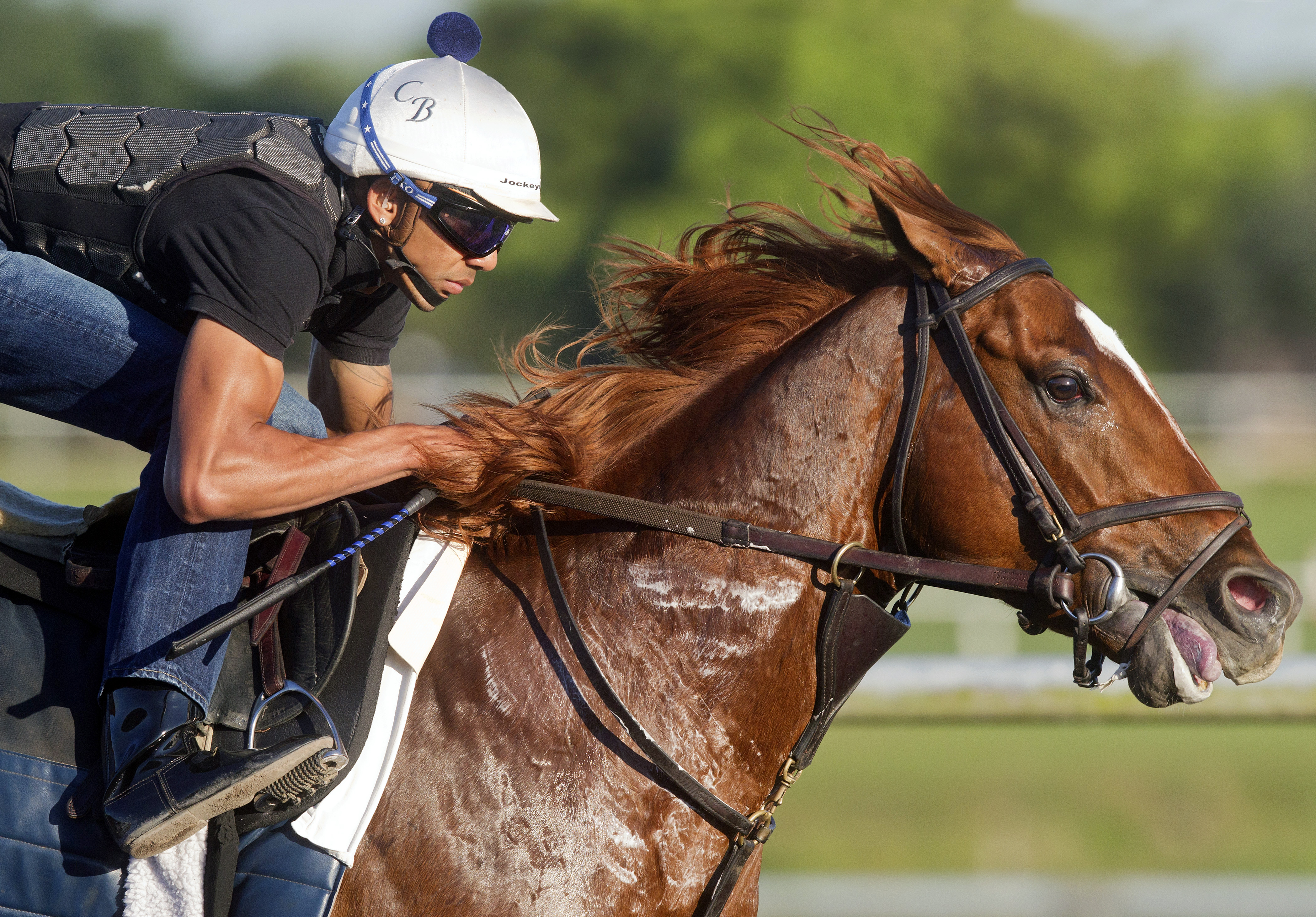 Storming Inti at Palm Meadows in January