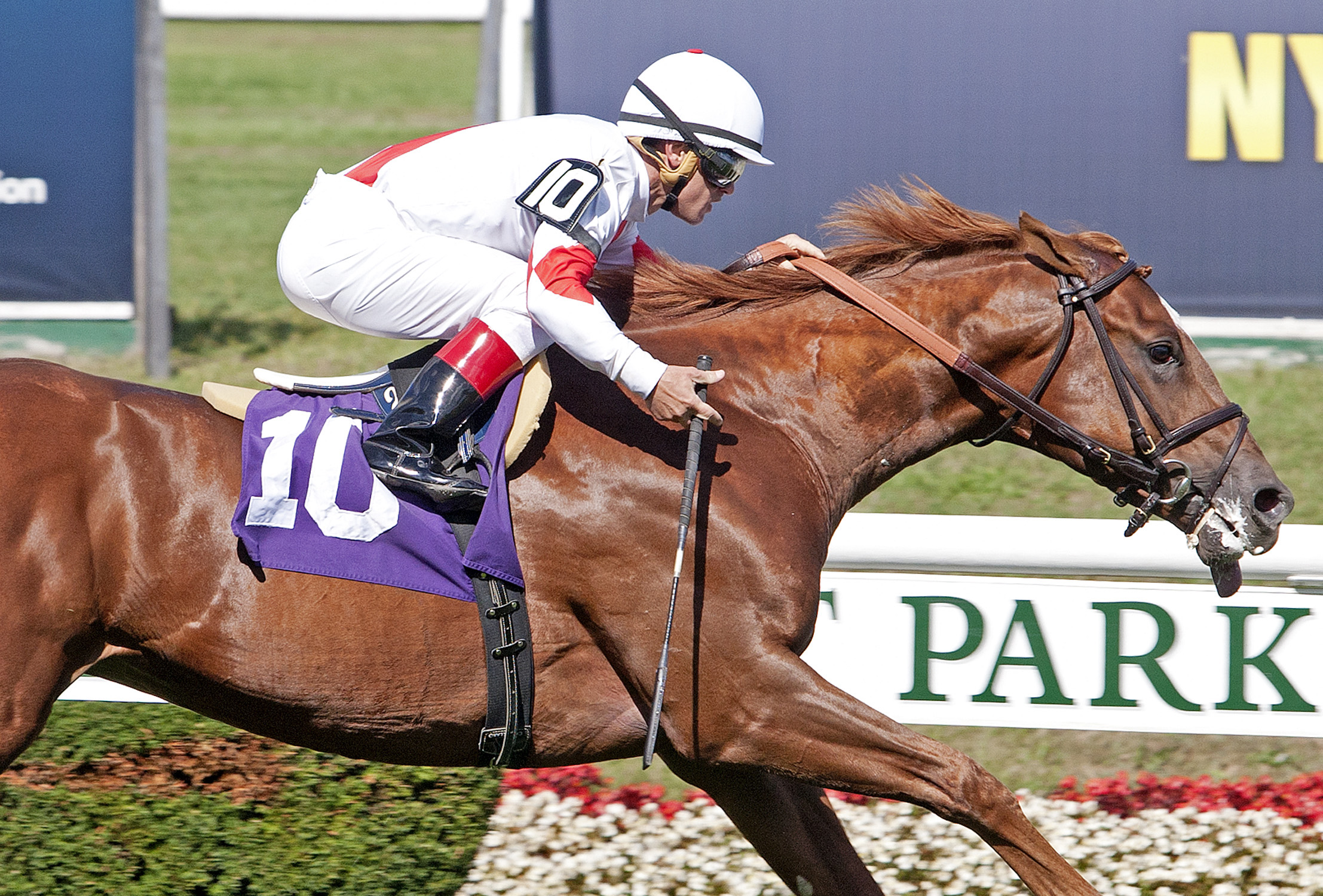 Storming Inti wins a maiden race