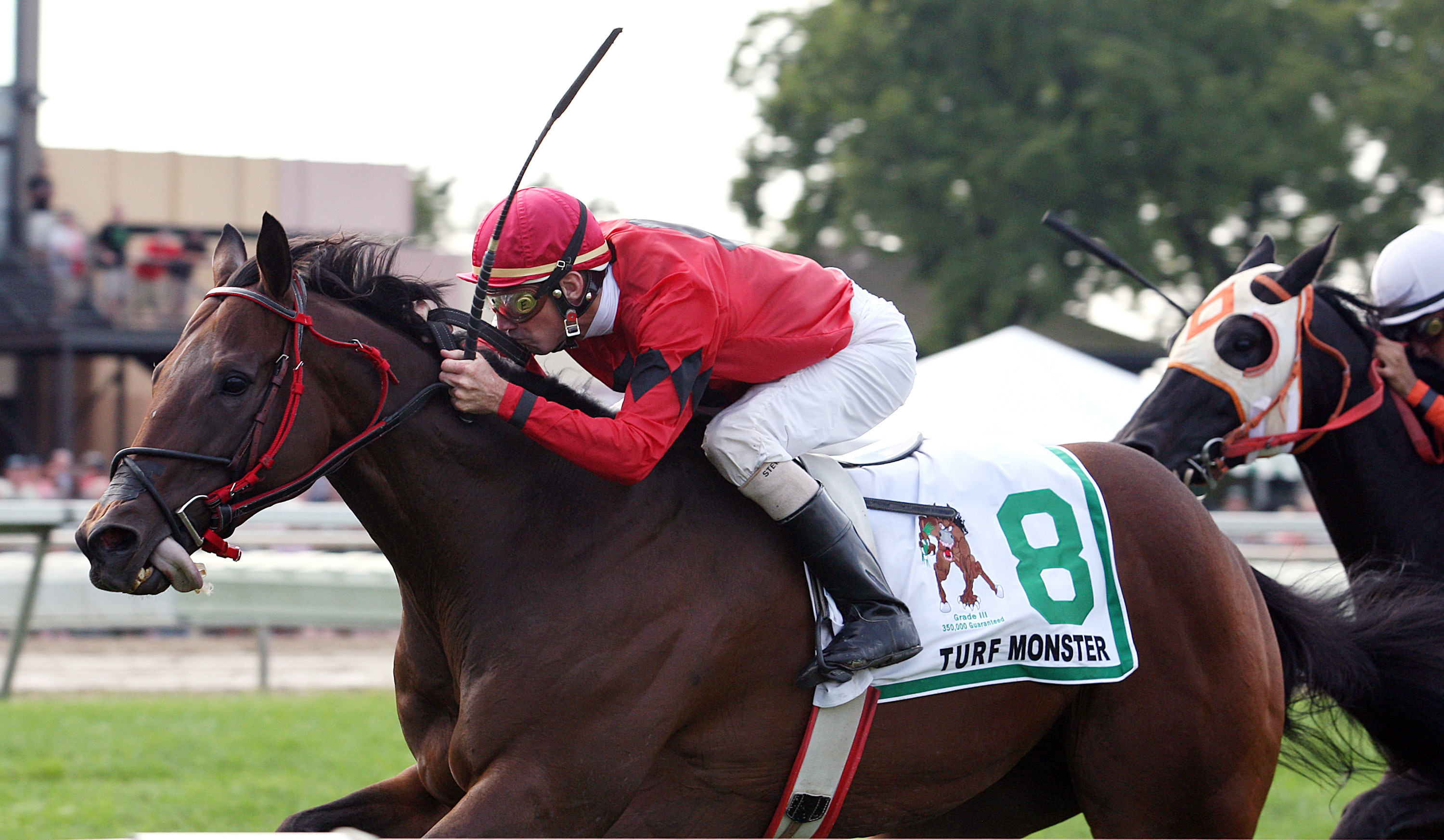 Stormofthecentury wins the 2013 Turf Monster Stakes