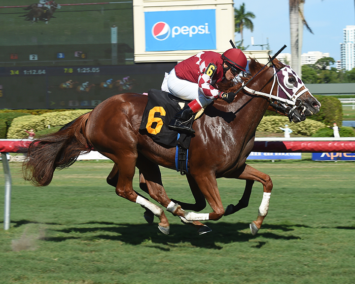 Stormy D wins a Sept. 20 maiden race at Gulfstream
