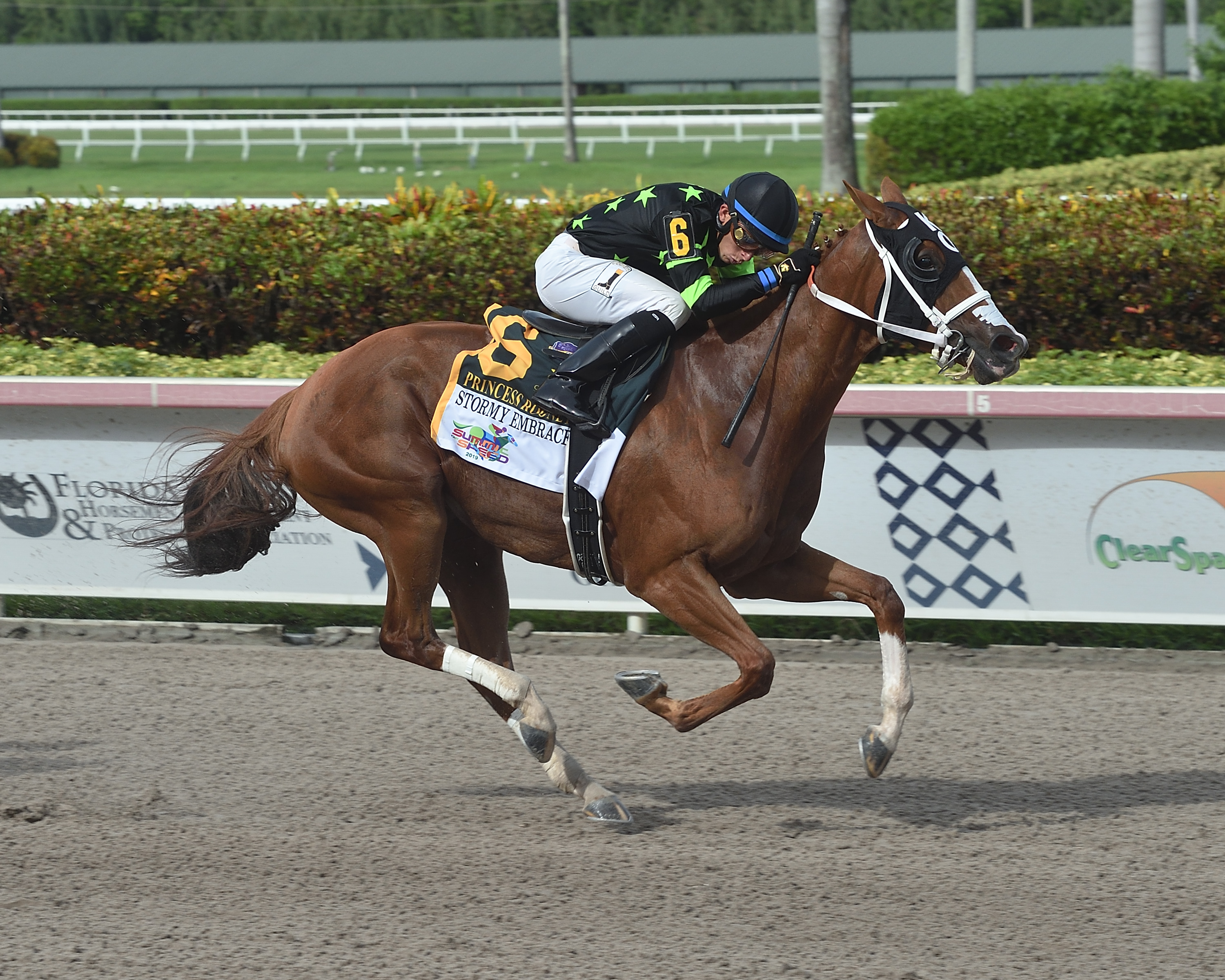 Stormy Embrace wins the 2019 Princess Rooney Stakes