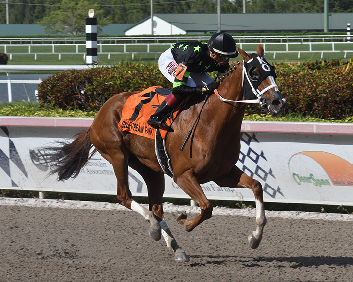 Stormy Embrace wins the 2019 Musical Romance