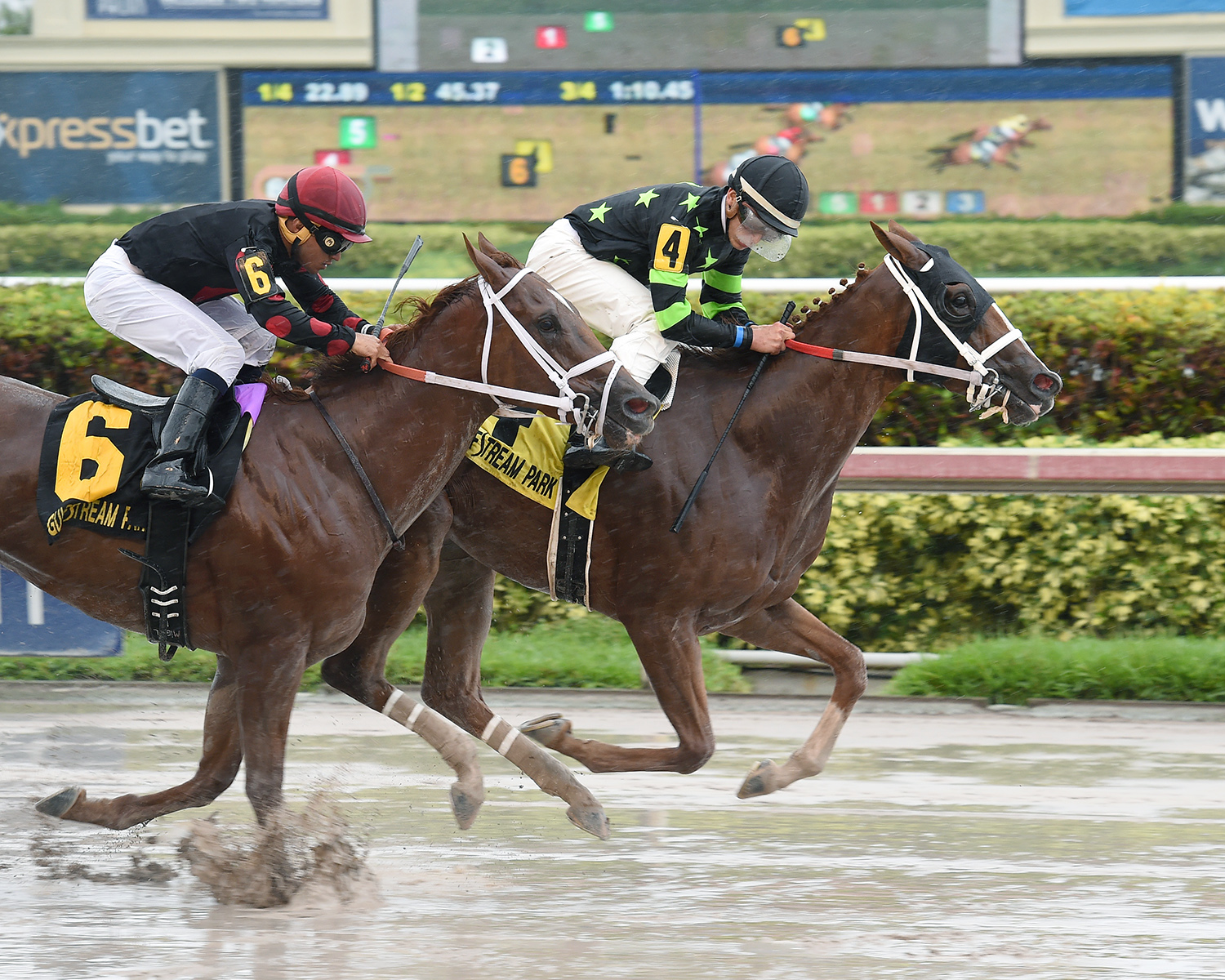 Stormy Embrace wins the 2018 Musical Romance