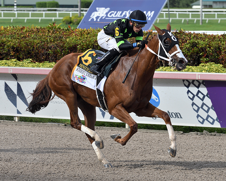 Stormy Embrace wins the 2019 Princess Rooney at Gulfstream Park