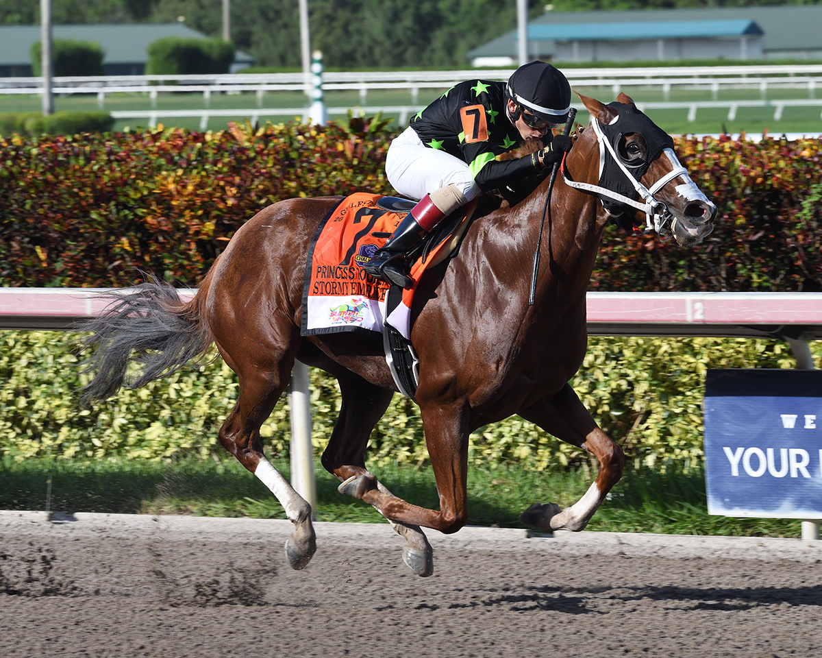 Stormy Embrace wins the 2018 Princess Rooney