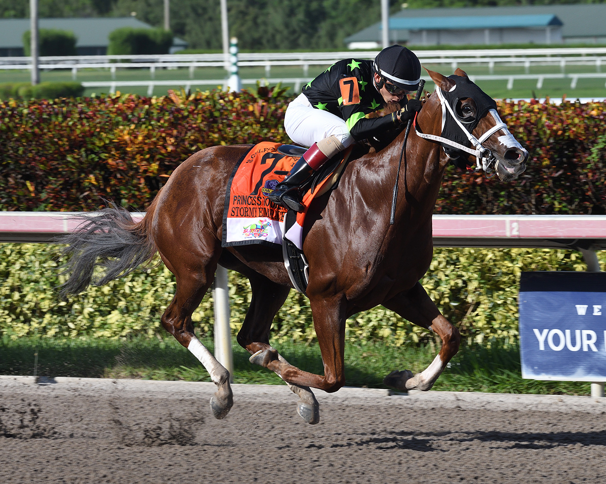 Stormy Embrace wins the Princess Rooney Stakes