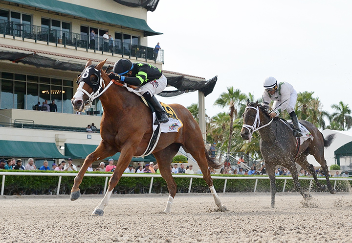 Stormy Embrace win the 2019 Princess Rooney Stakes at Gulfstream Park