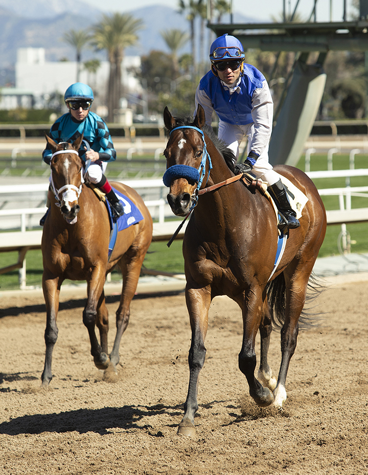 Eddie Haskell and Stormy Liberal after a Feb. 22 race at Santa Anita Park