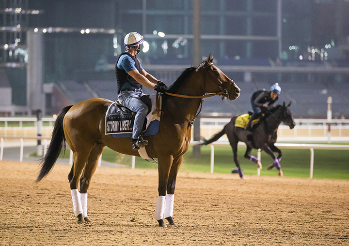 Stormy Liberal at Meydan on March 25