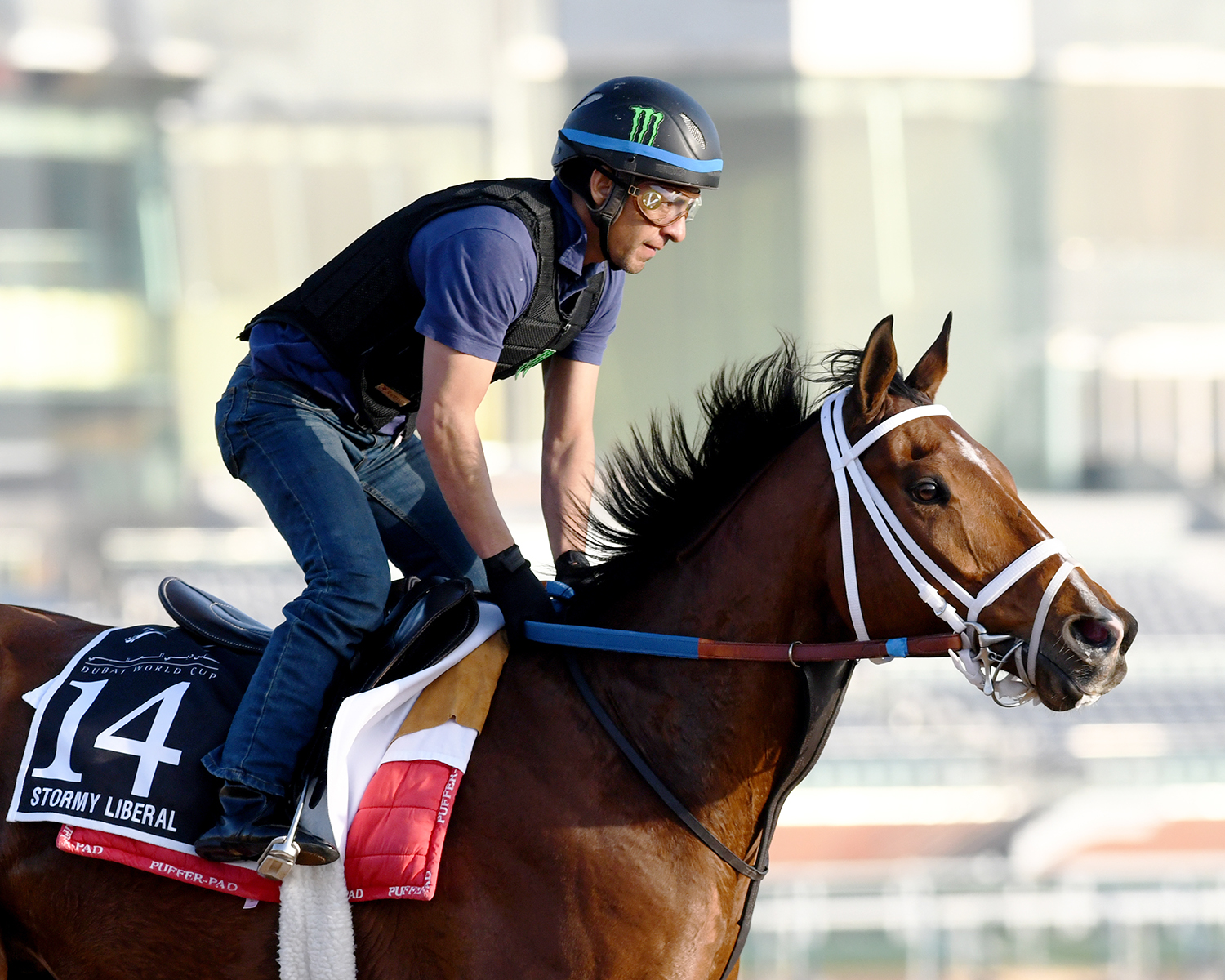 Stormy Liberal trains at Meydan in March 2018