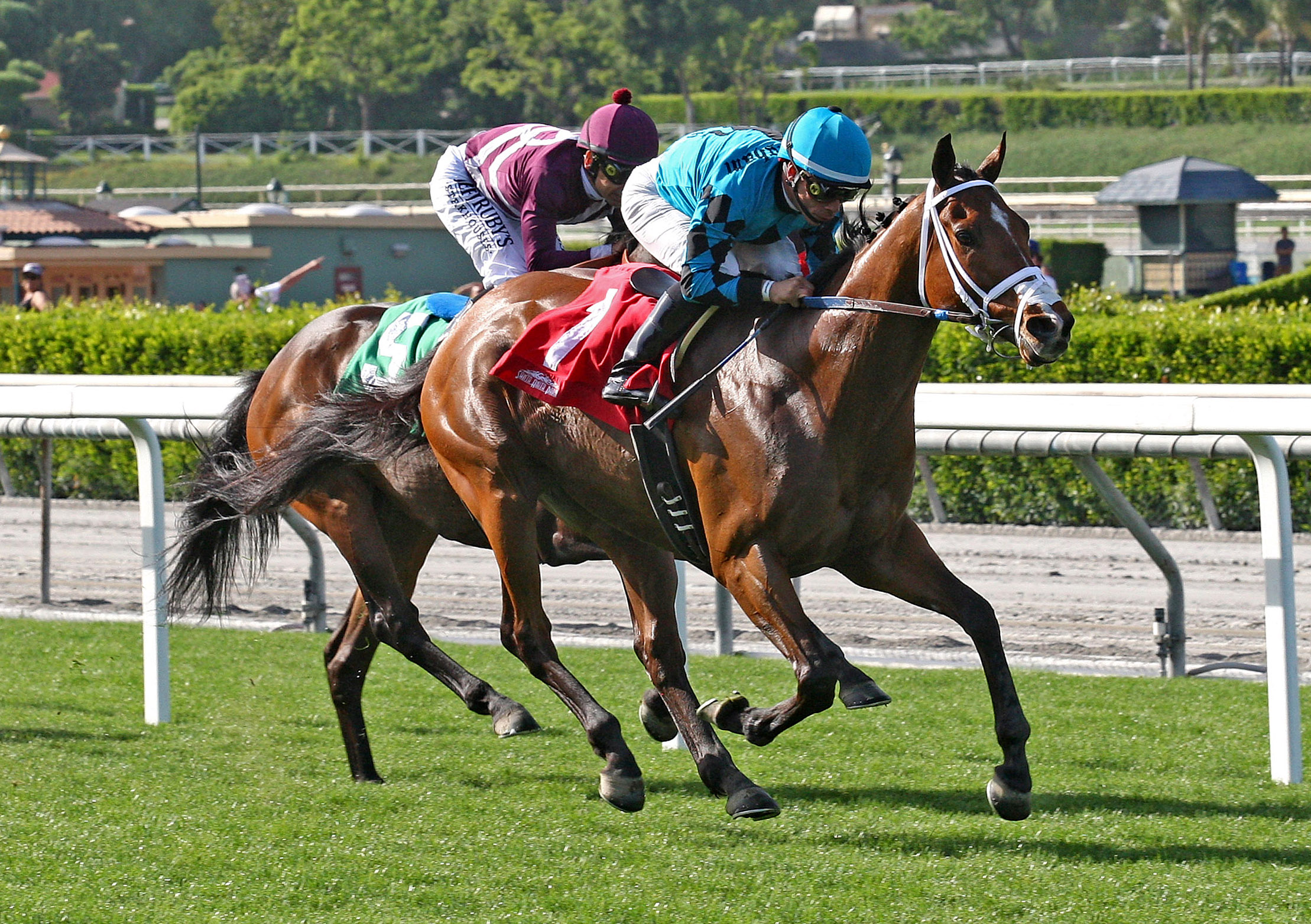 Stormy Liberal wins the Siren Lure Stakes