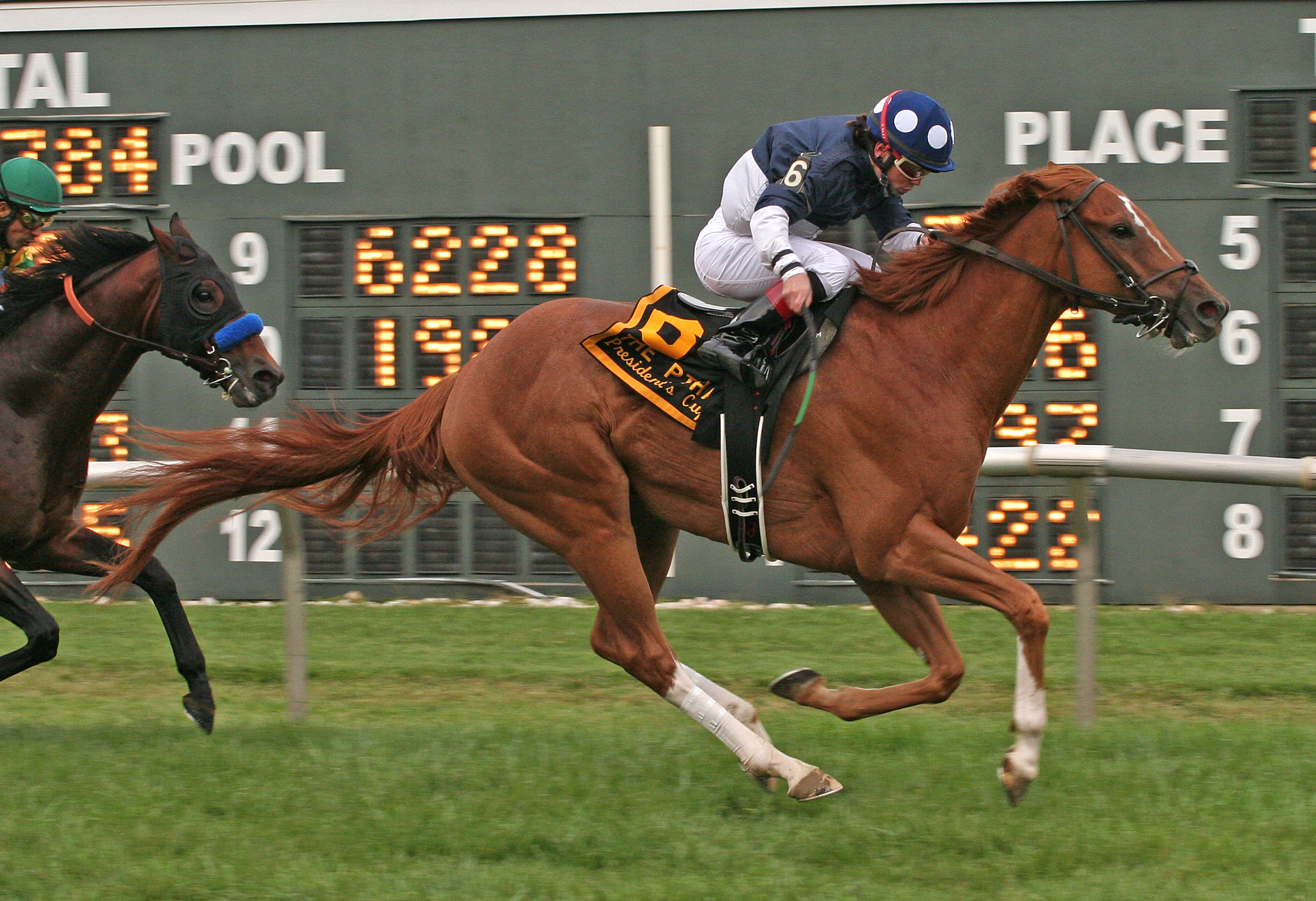 Stormy Lord/2011 President's Cup