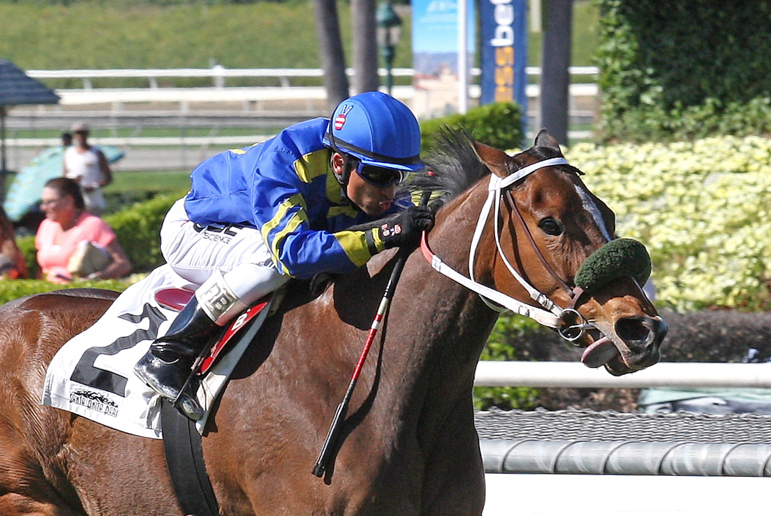 Stormy Lucy wins the Santa Ana
