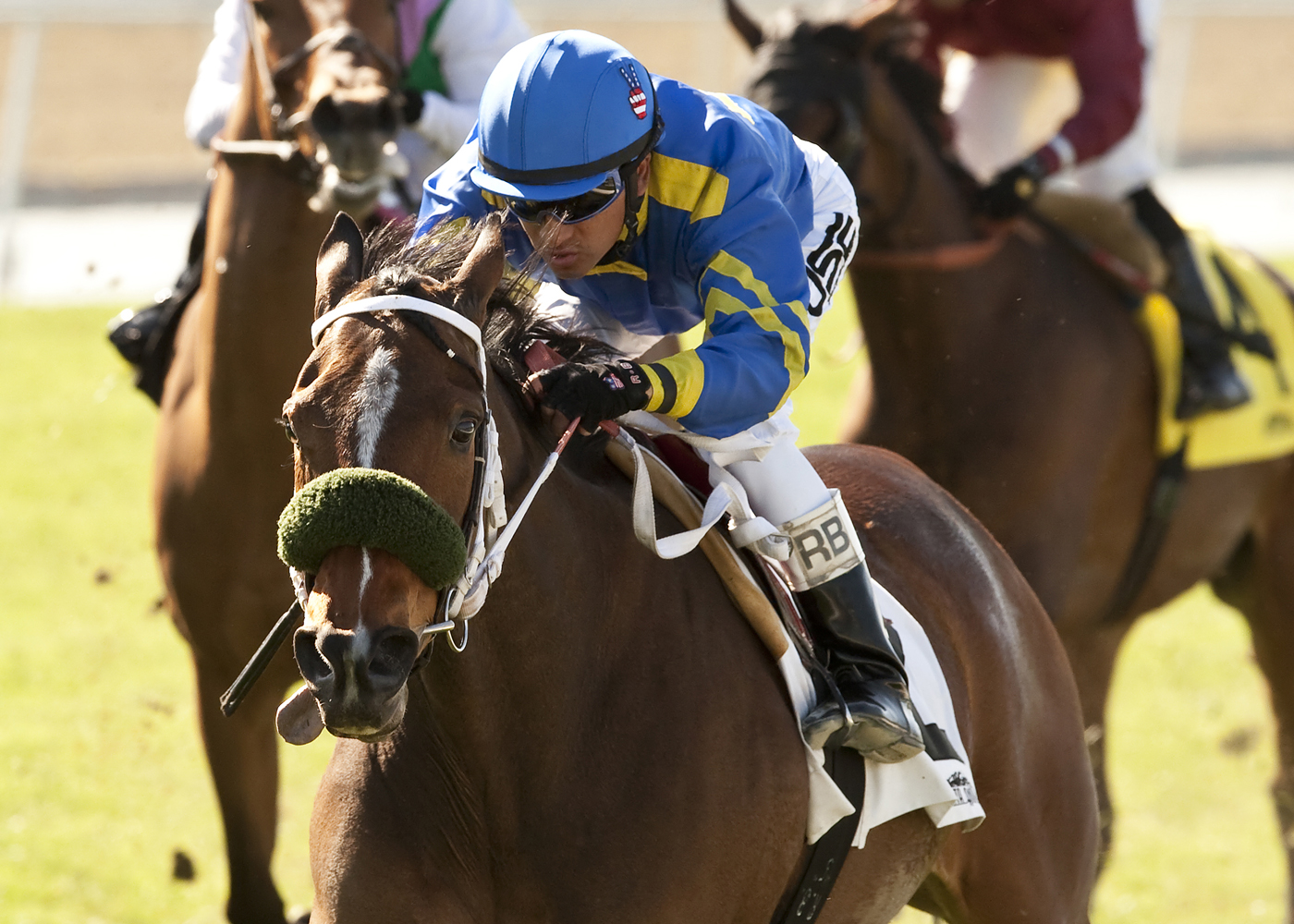 Stormy Lucy wins the Santa Ana