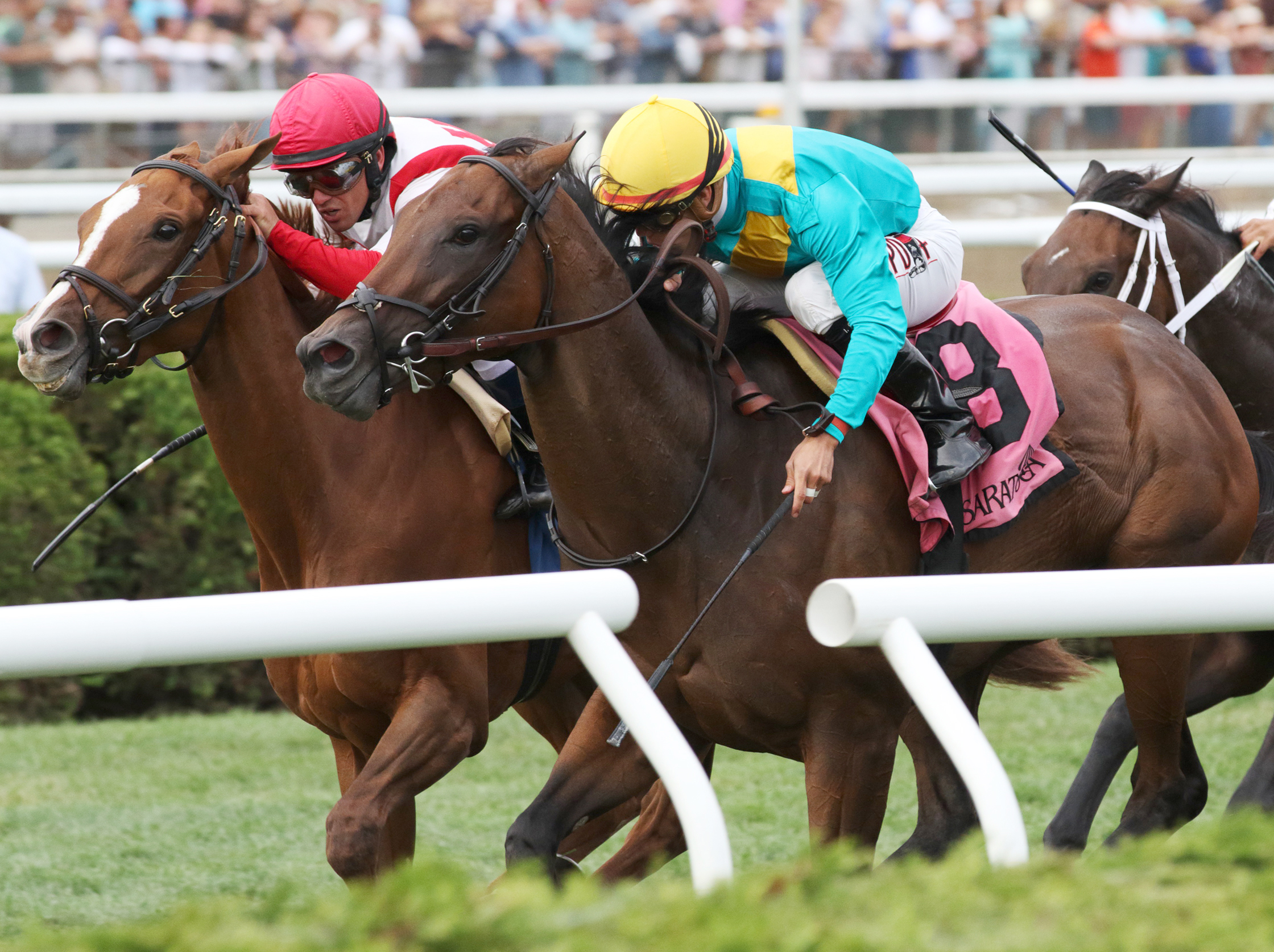 Stormy Regatta wins the Riskaverse Stakes