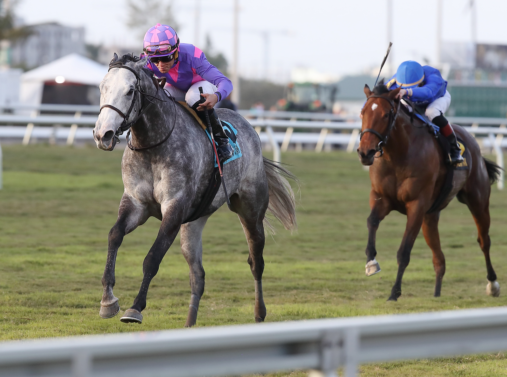 Stormy Victoria wins 2018 South Beach