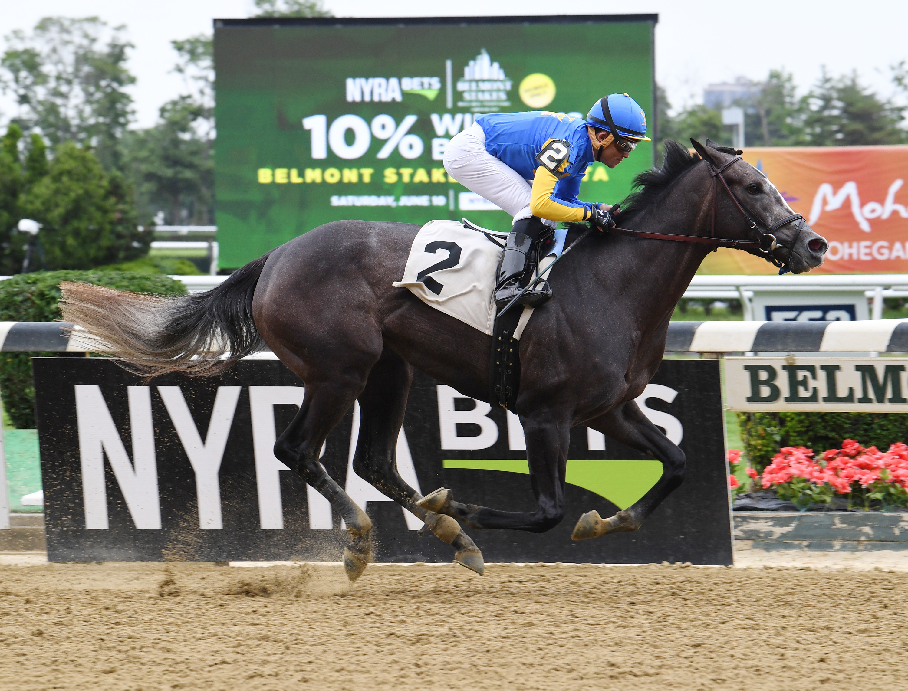 Stormy's Song wins a maiden race