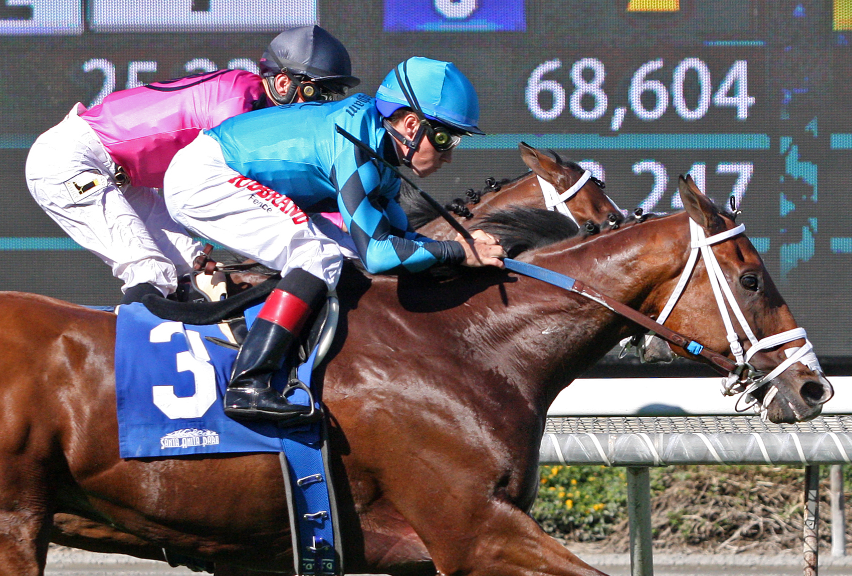 Stormy Liberal wins the 2018 Eddie D Stakes