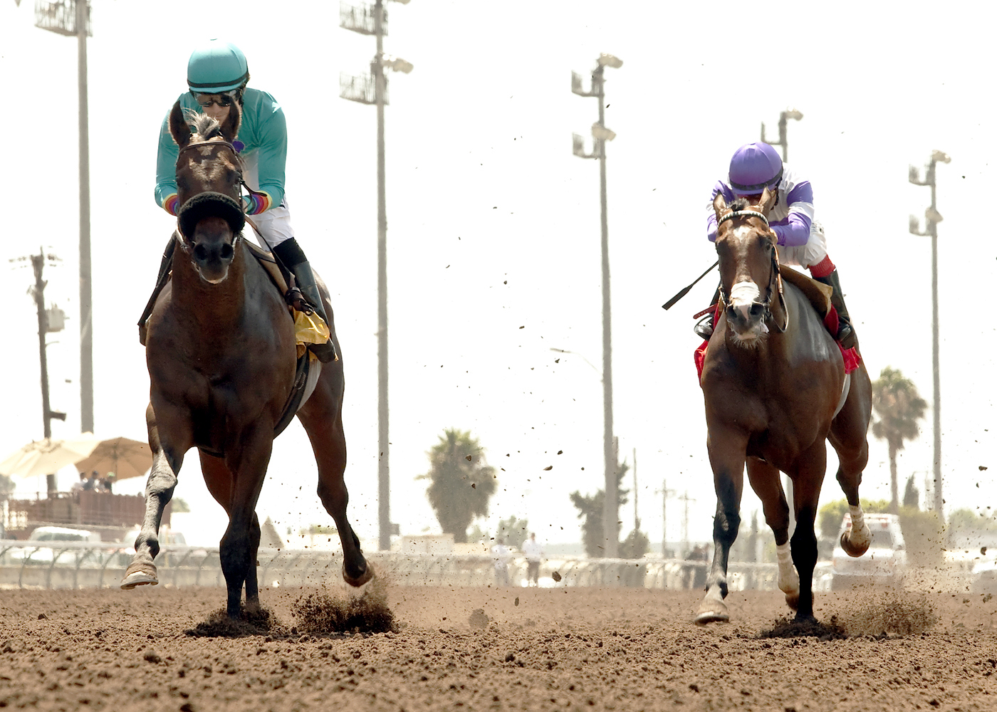Story to Tell wins the Willard L. Proctor Memorial