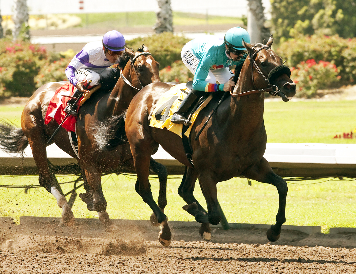Story to Tell wins the Willard L. Proctor Memorial