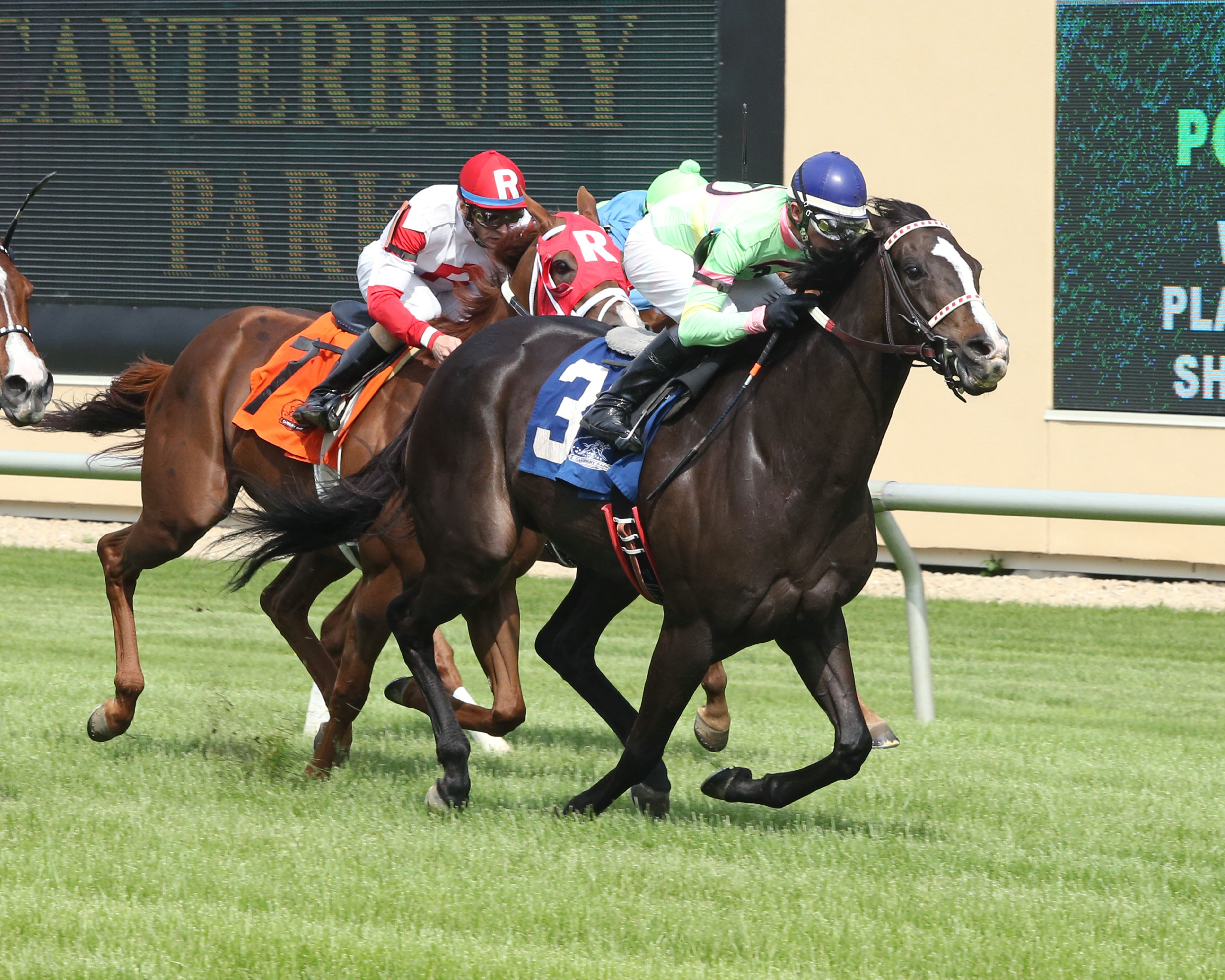 Canterbury: Stoupinator wins HBPA Distaff