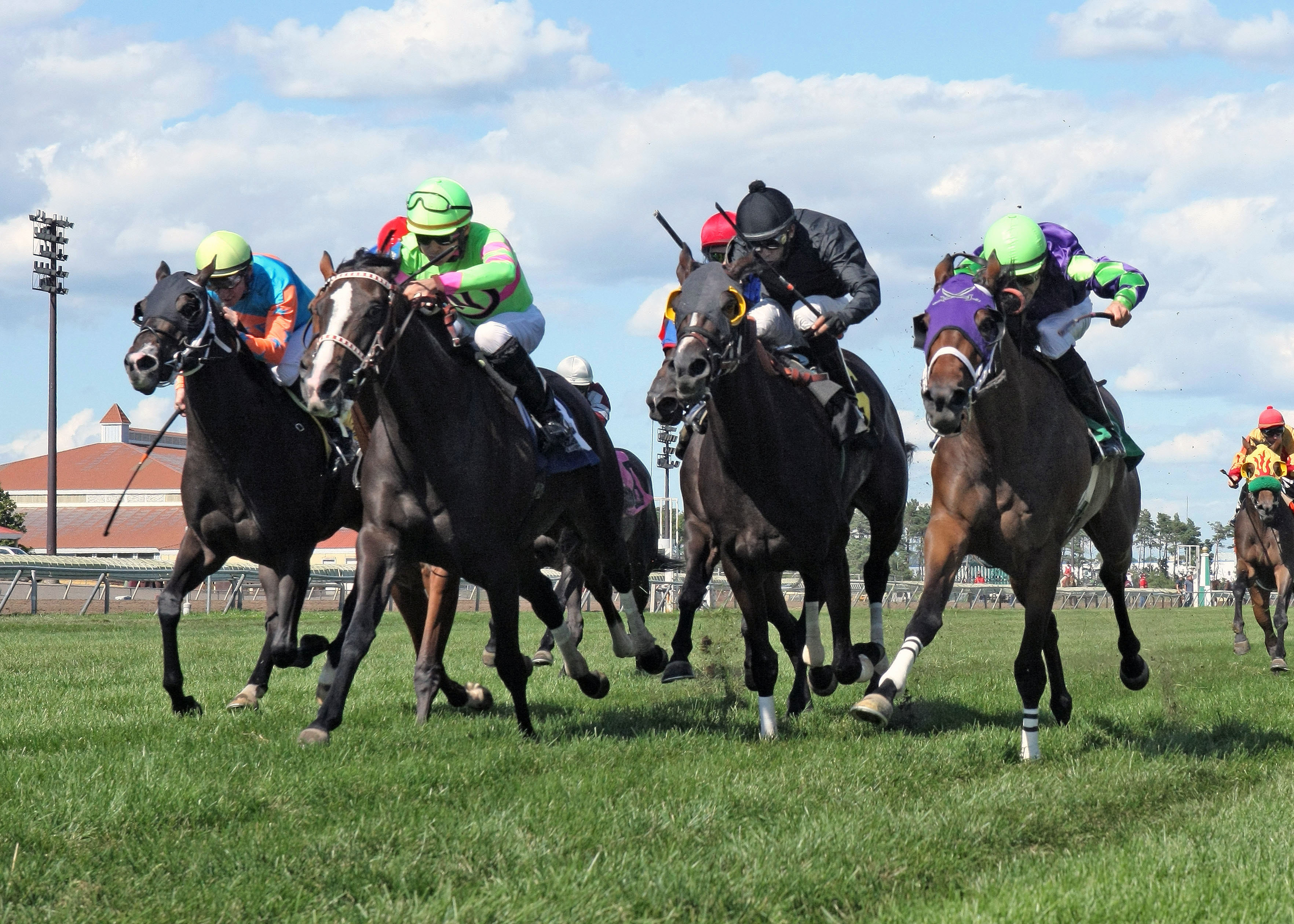 Canterbury: Turf stakes draw Stoupinator, Az Ridge