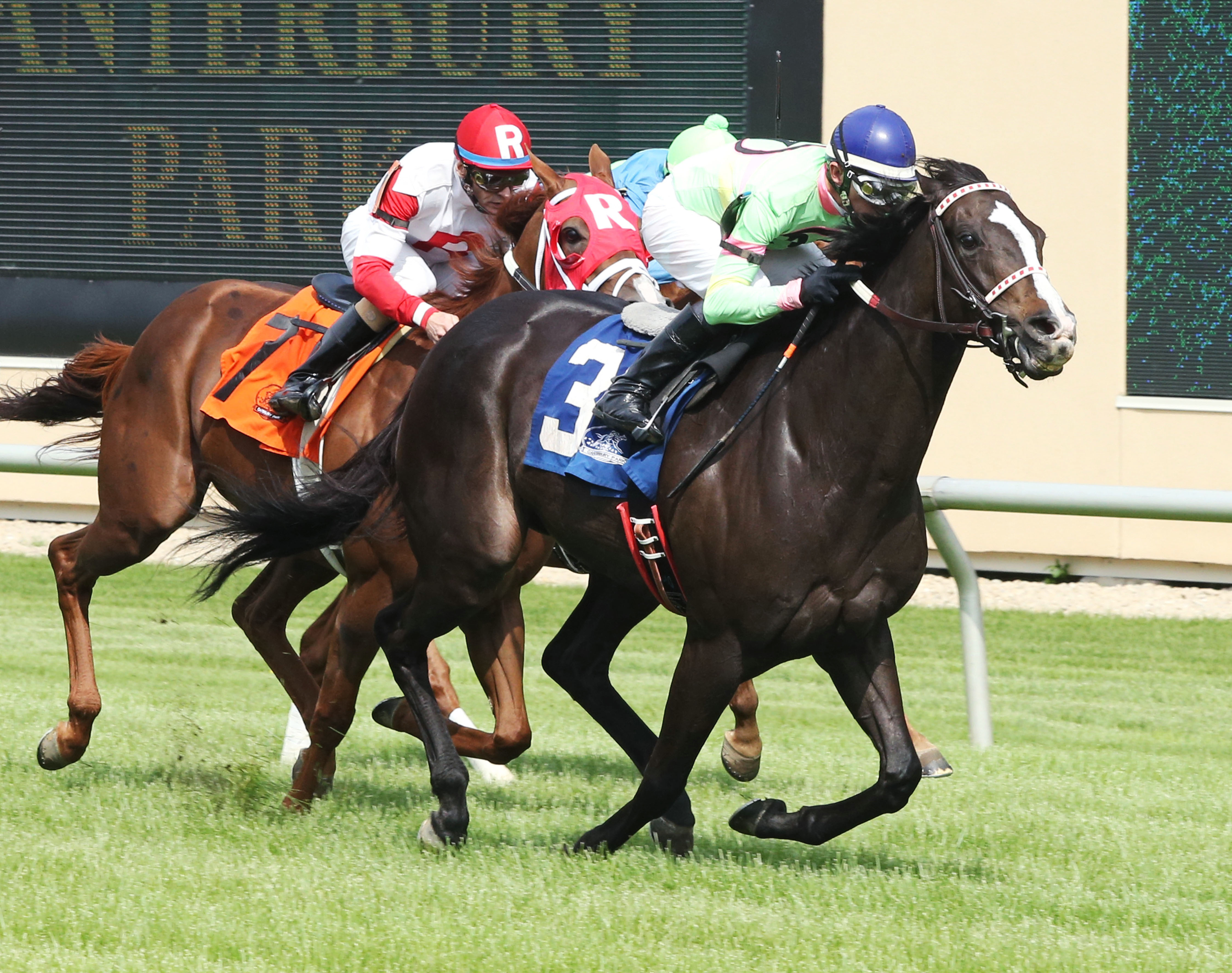 Stoupinator wins the Minnesota H.B.P.A. Distaff
