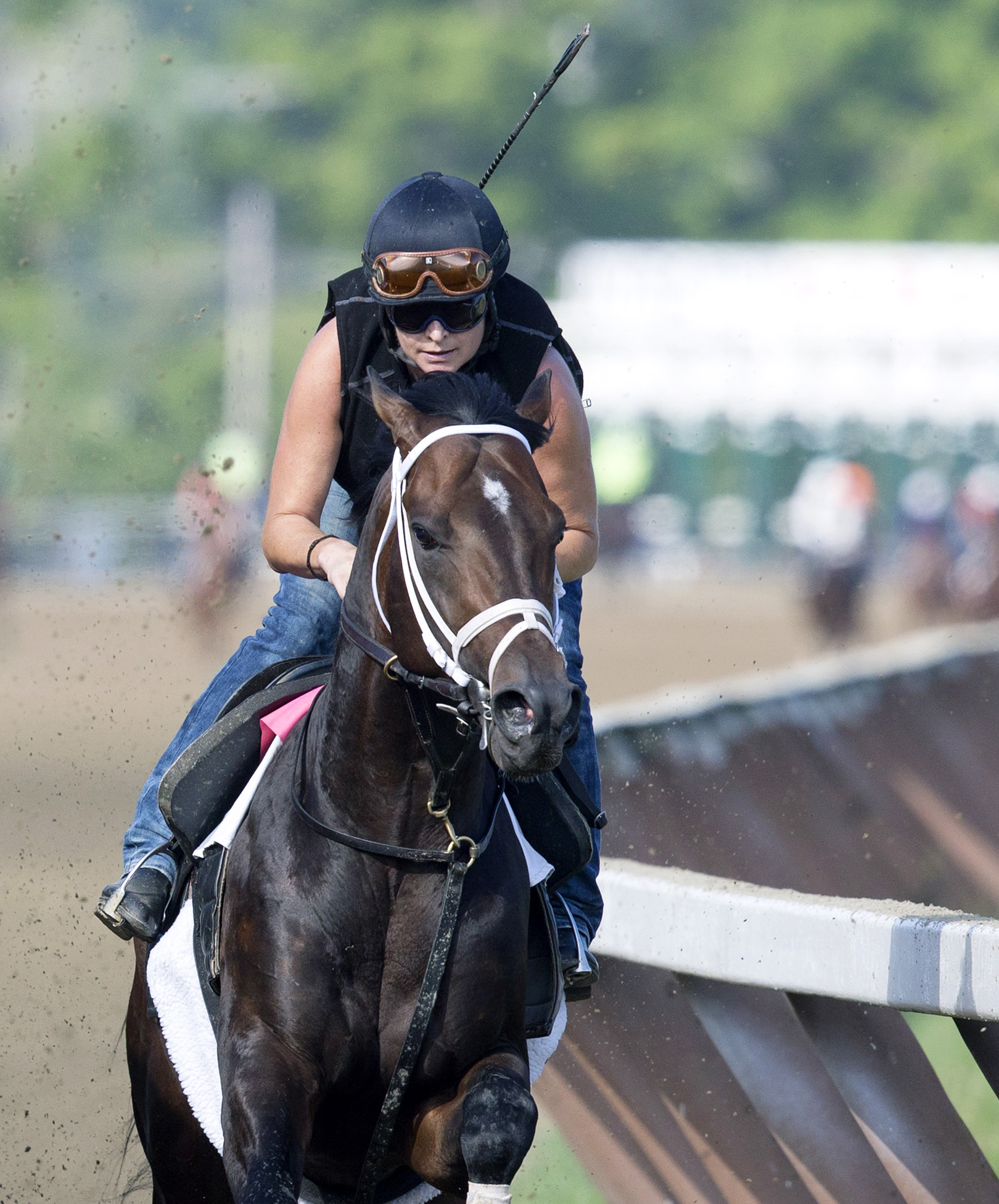 Stradivari trains at Saratoga on July 22