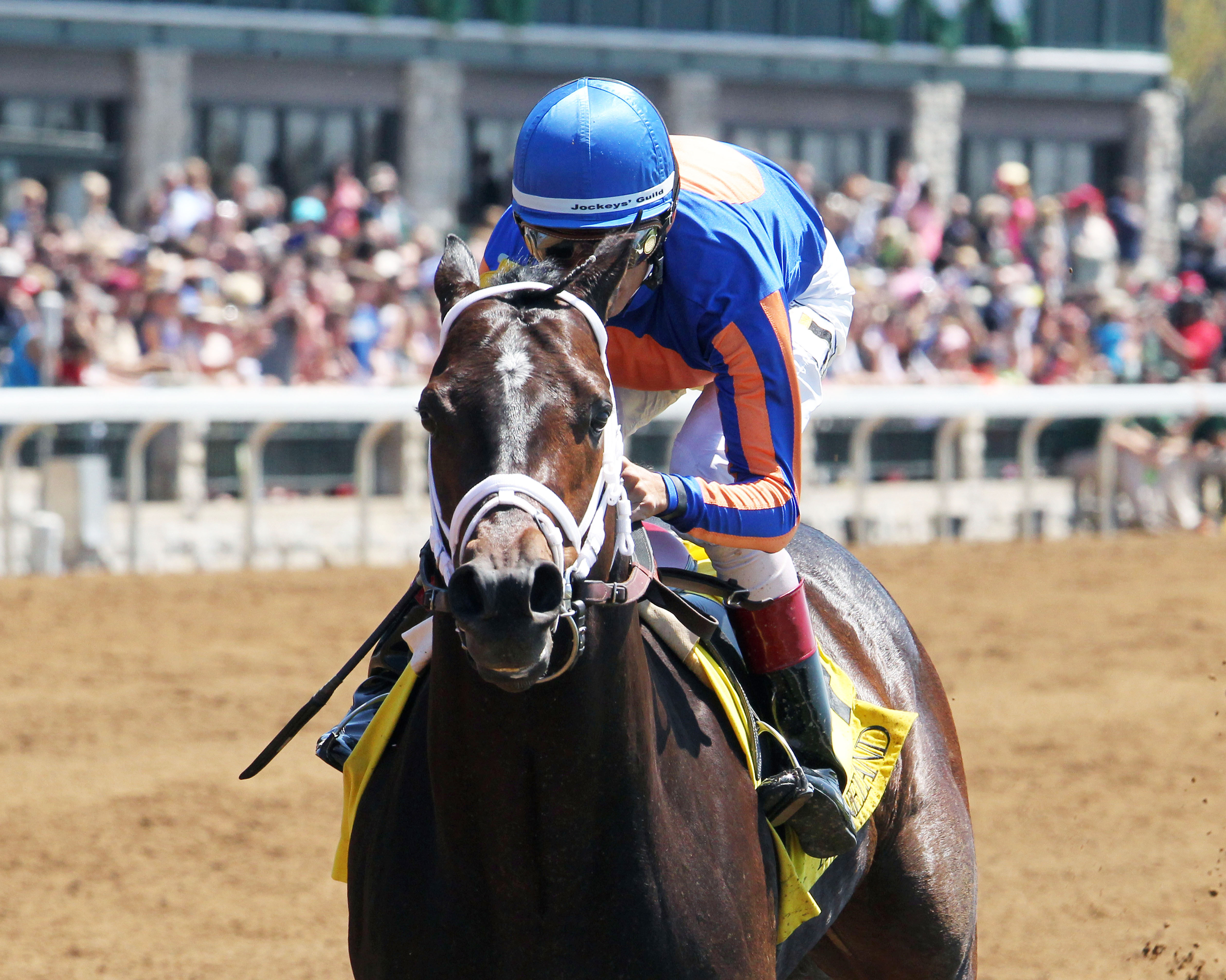 Stradivari wins a Keeneland allowance race on April 17