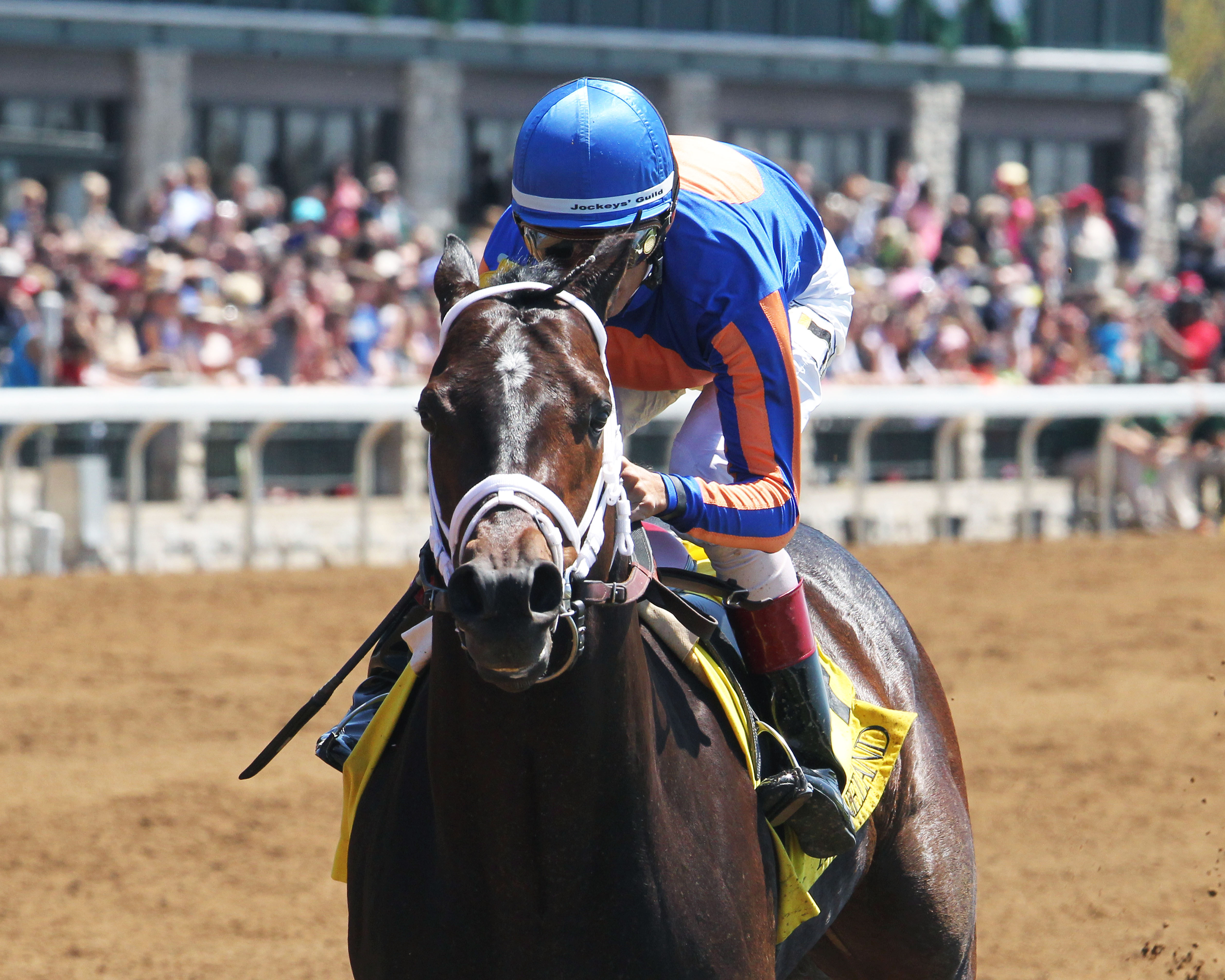 Stradivari wins a Keeneland allowance race on April 17