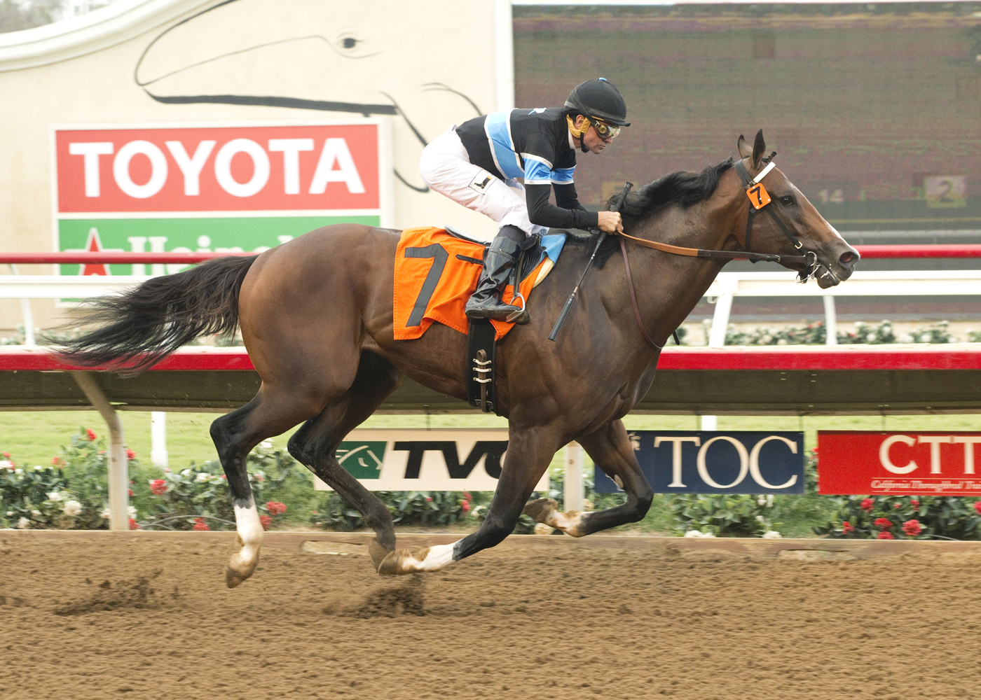 Straight Fire wins a maiden race