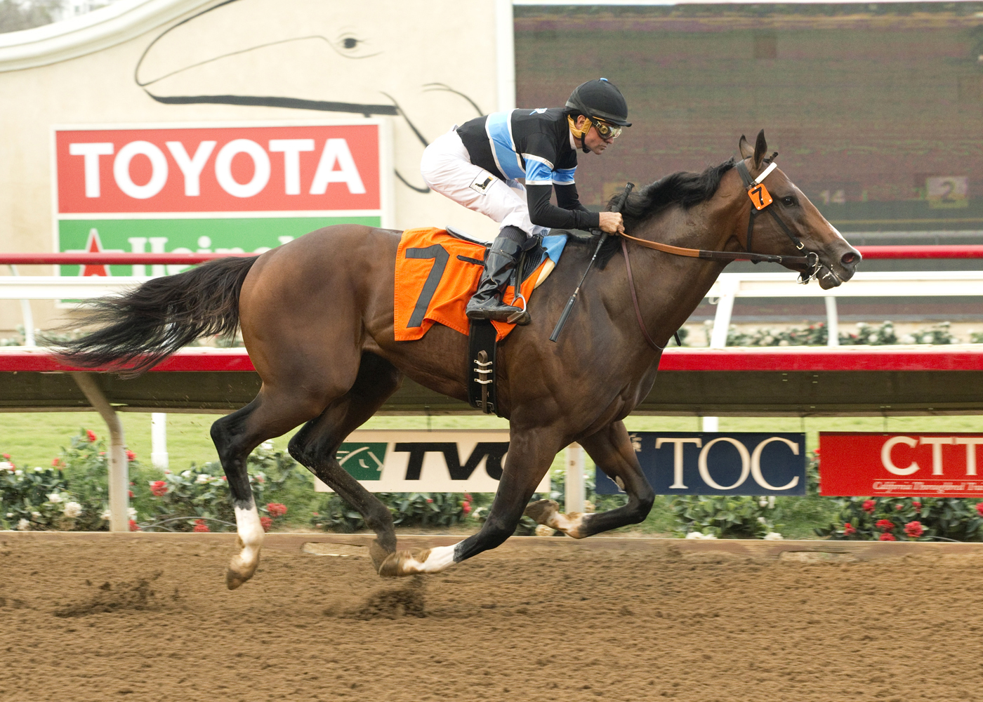 Straight Fire wins a maiden race