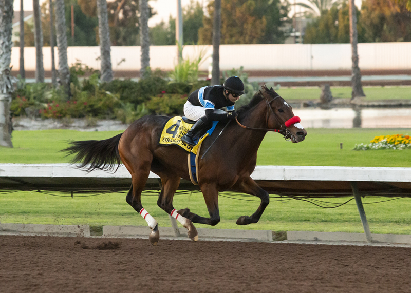 Straight Up G wins King Glorious 12-12-2021