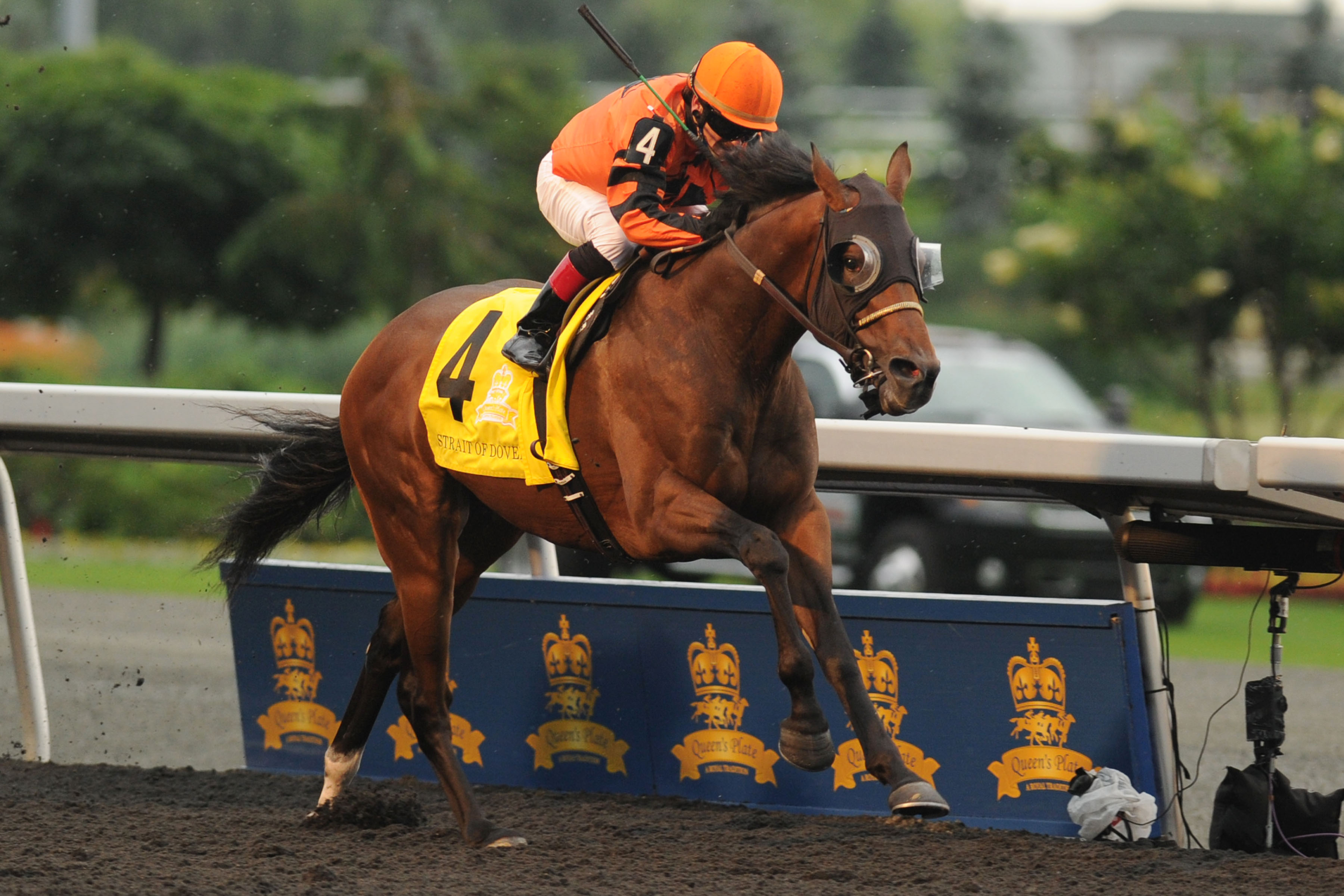 Strait of Dover/Queen's Plate