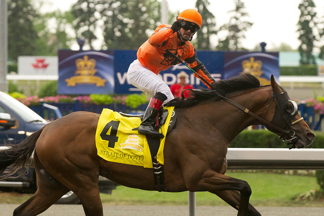 Justin Stein leads Strait of Dover to victory in the 2012 Queen's Plate at Woodbine