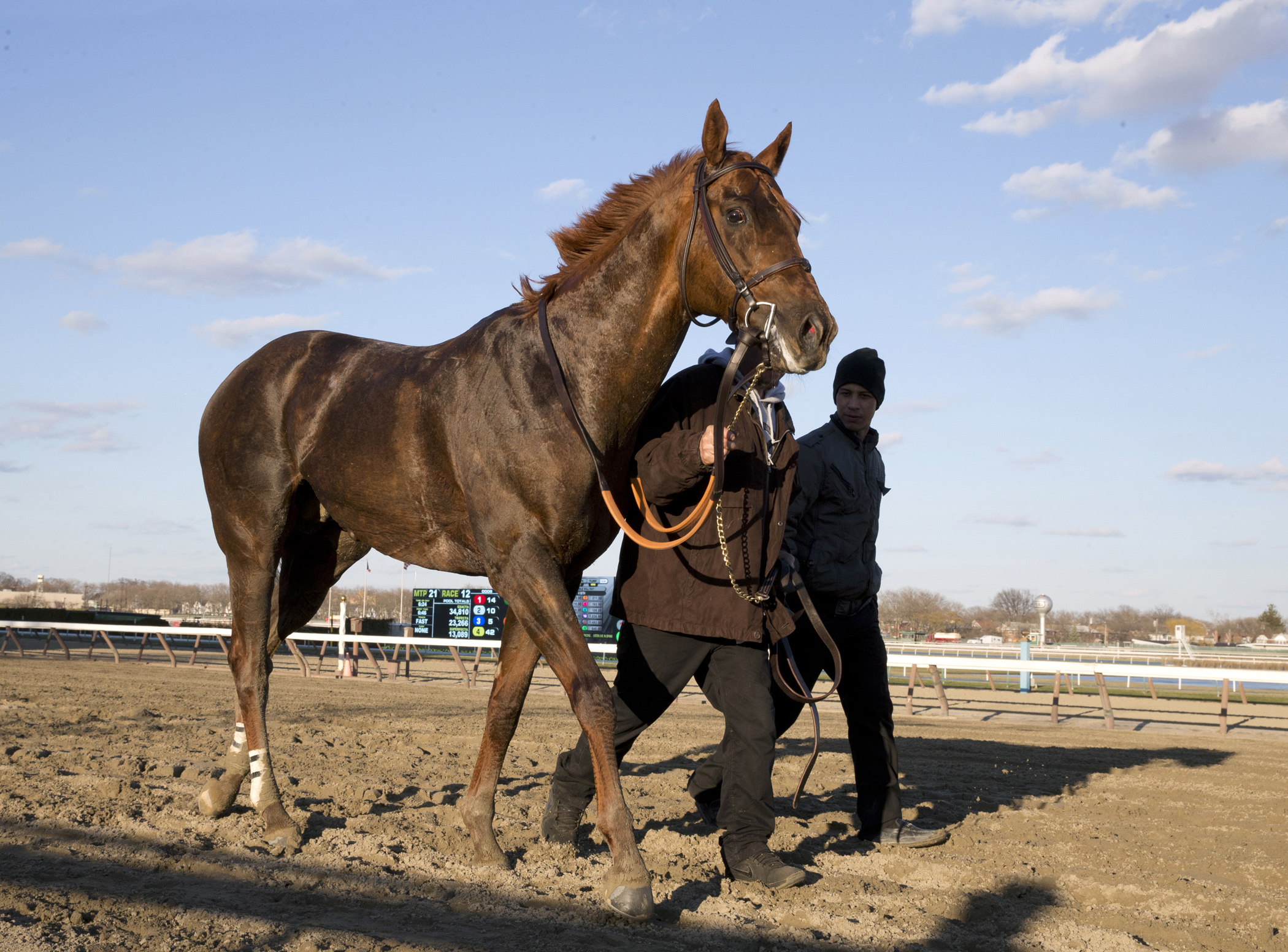Strapping Groom