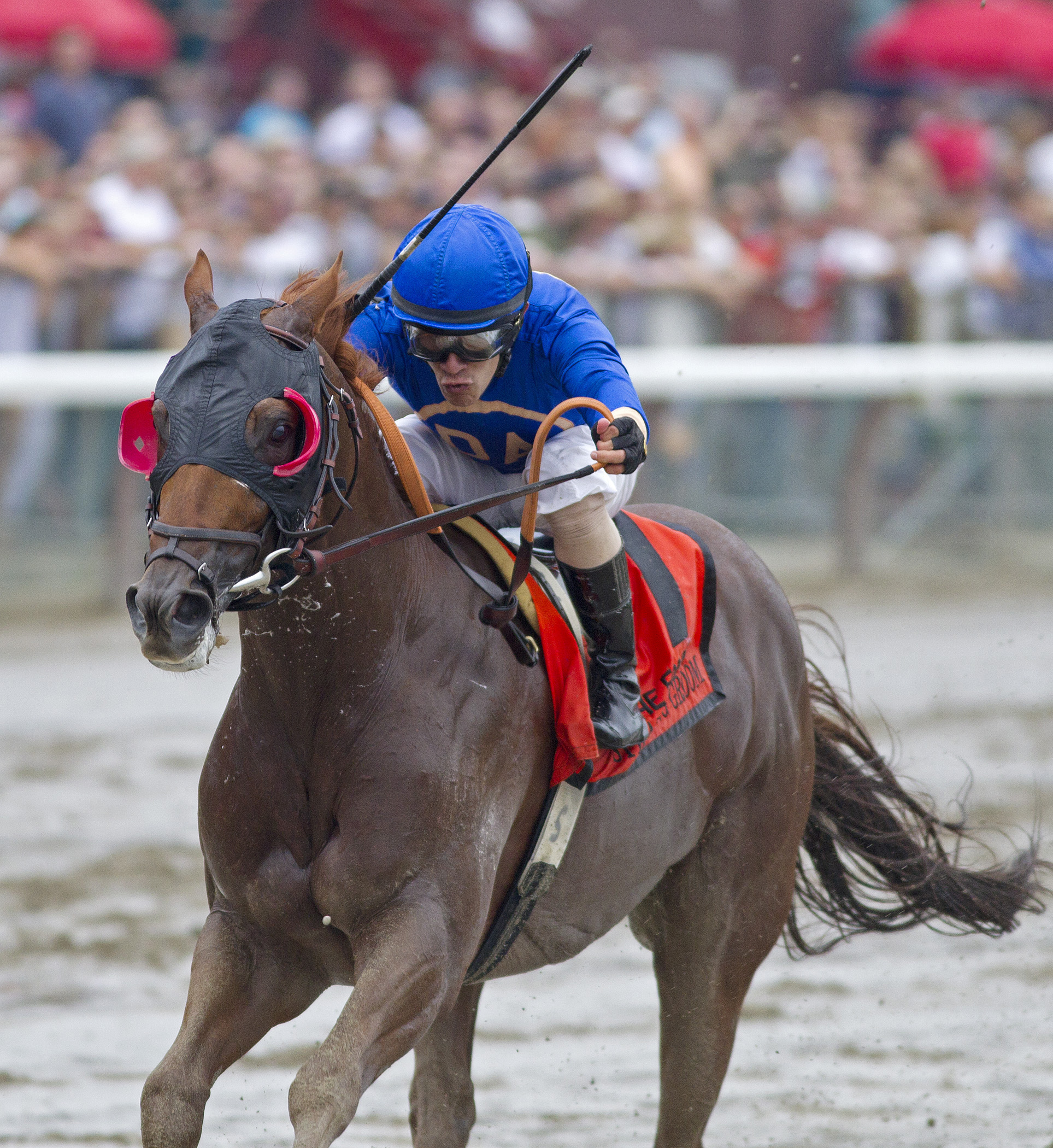 Strapping Groom, Forego Stakes