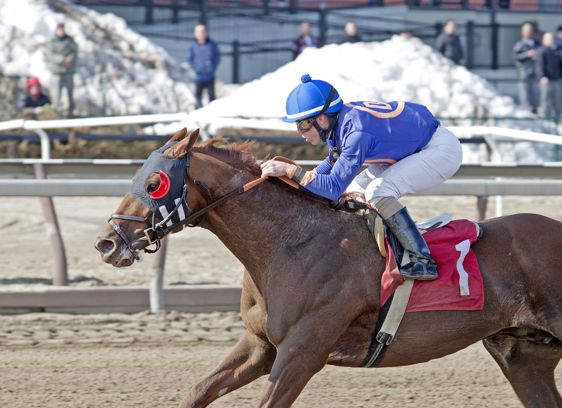 Strapping Groom wins the Tom Fool